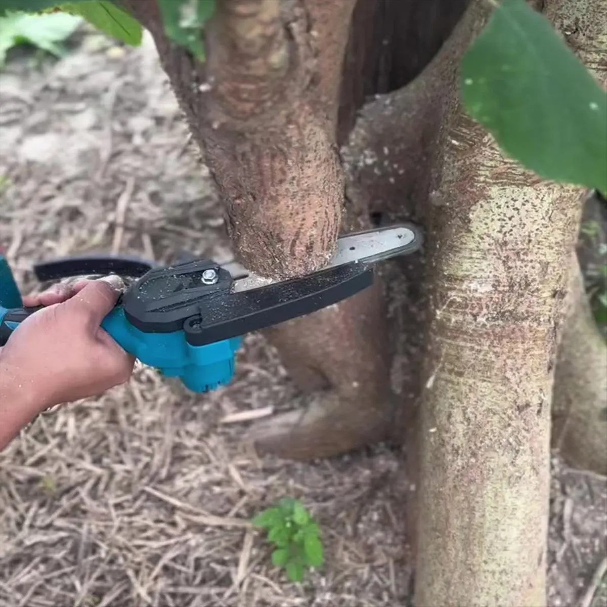 ABPP Cordless Chainsaw Tool 6 Inch Brushless Mini Chainsaw Portable Handheld for Garden Wood Cutting for 18V Battery
ABPP Cordless Chainsaw Tool 6 Inch Brushless Mini Chainsaw Portable Handheld for Garden Wood Cutting for 18V Battery