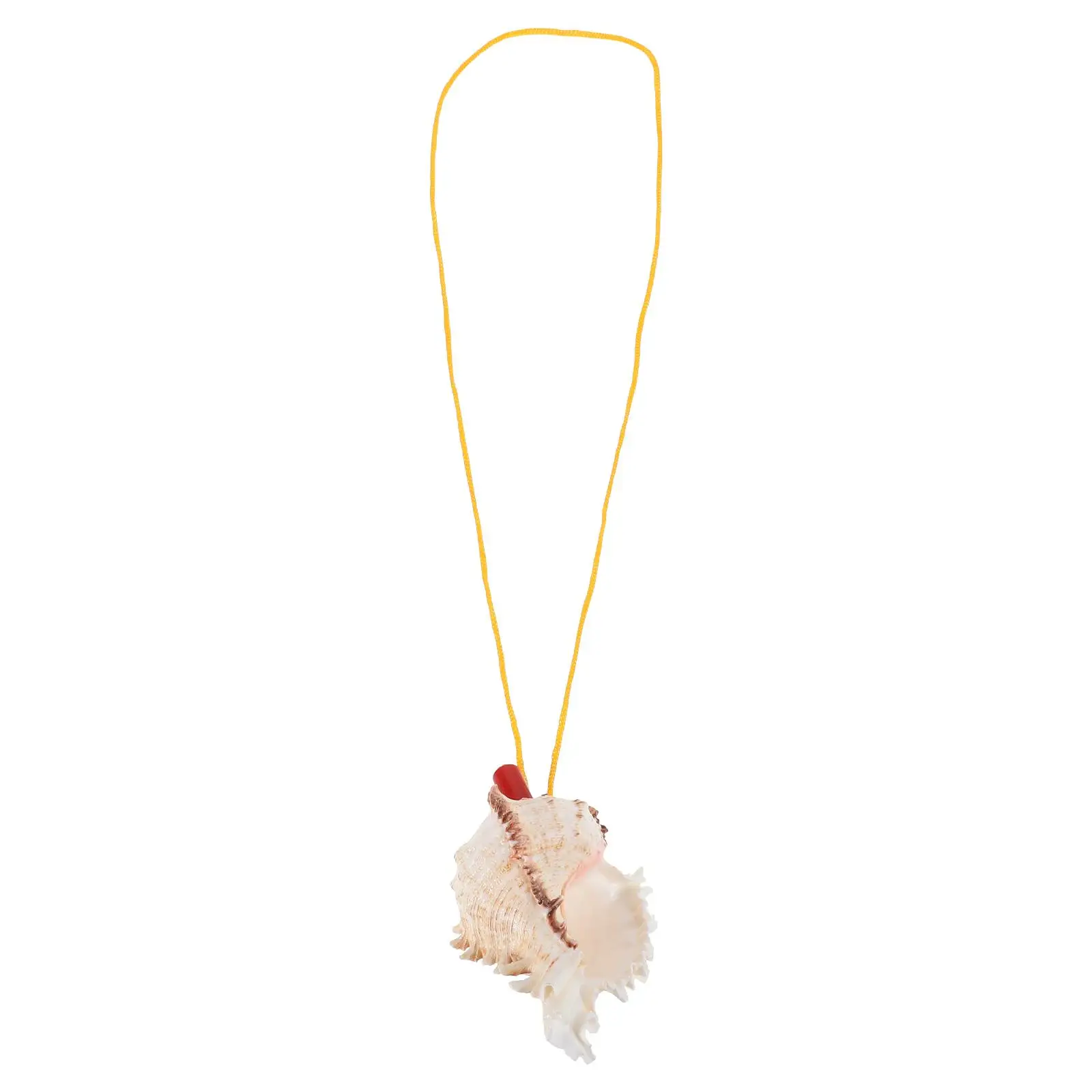 Natural Conch Shell Whistle 9-10CM Musical Instrument Beach Decorations Vase Filler Sea Shell Toy Portable Size Unique
Natural Conch Shell Whistle 9-10CM Musical Instrument Beach Decorations Vase Filler Sea Shell Toy Portable Size Unique