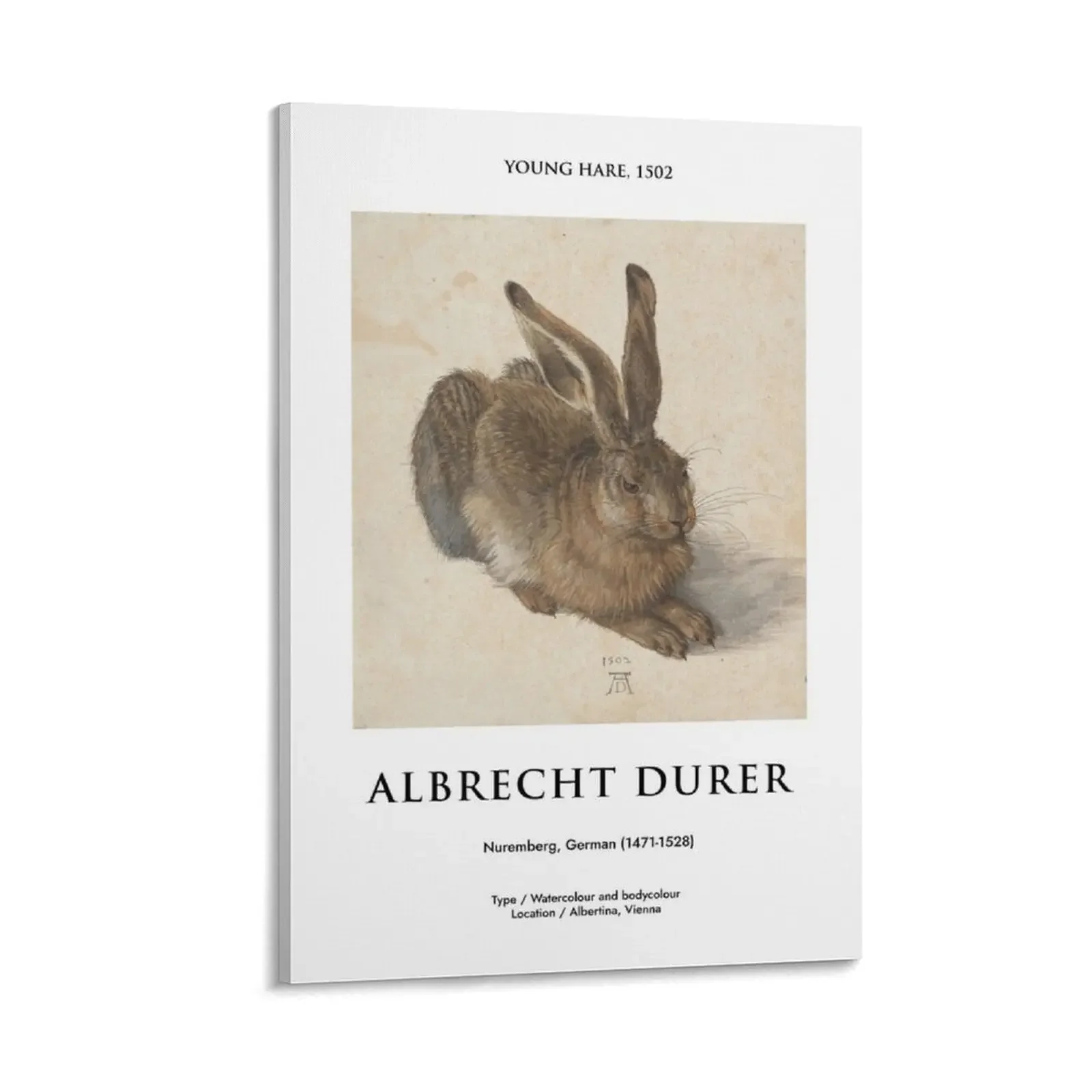 Albrecht Durer, Young Hare, Bunny, Antique, Animals portrait, Rabbit Wall art, Watercolor Print, Exhibition Post Canvas Painting 
Albrecht Durer, Young Hare, Bunny, Antique, Animals portrait, Rabbit Wall art, Watercolor Print, Exhibition Post Canvas Painting