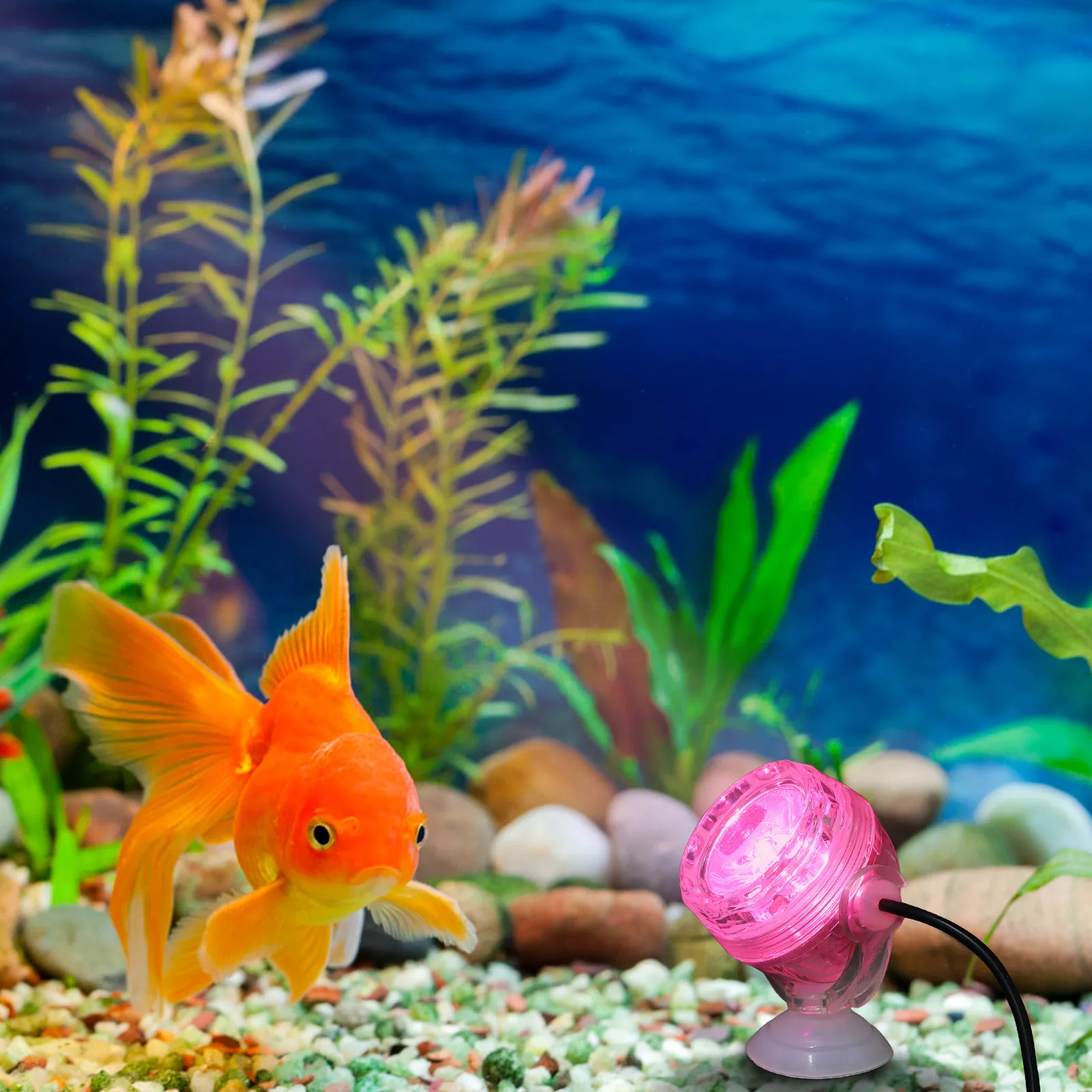 Tank Lamp Tank Light Small Night Lamp Fish Bowl Decor Energy Saving Bowl Light Color Changing
Tank Lamp Tank Light Small Night Lamp Fish Bowl Decor Energy Saving Bowl Light Color Changing