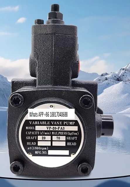 Переменный лопастной насос VP-20-FA3 Масляный насос VP-40 FA3 VP15 VP30 FA3 плоский ключ
Переменный лопастной насос VP-20-FA3 Масляный насос VP-40 FA3 VP15 VP30 FA3 плоский ключ