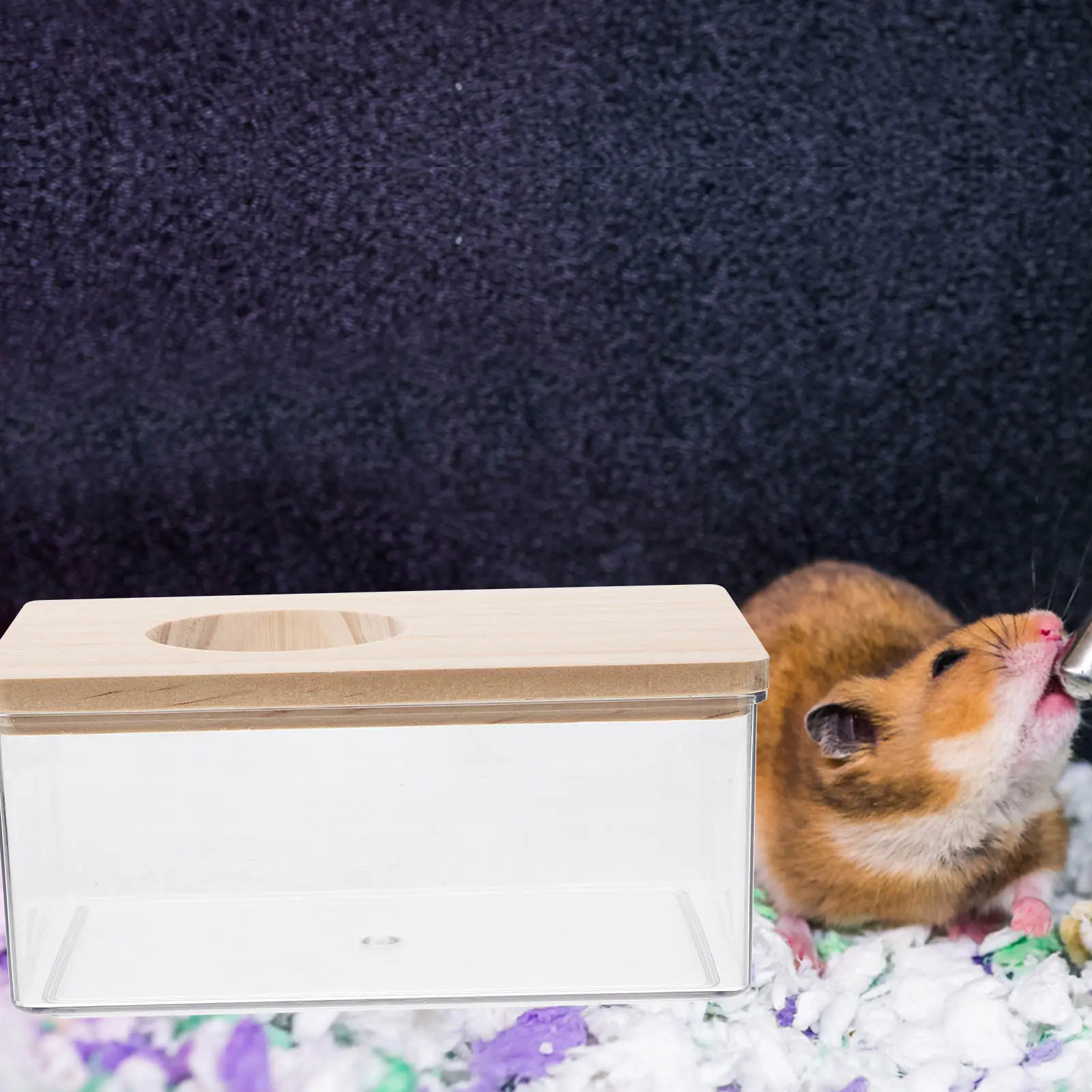 Прозрачный акриловый лоток для купания хомяков с деревянной крышкой для копания и чистки, принадлежности для ванной комнаты для мелких животных
Прозрачный акриловый лоток для купания хомяков с деревянной крышкой для копания и чистки, принадлежности для ванной комнаты для мелких животных