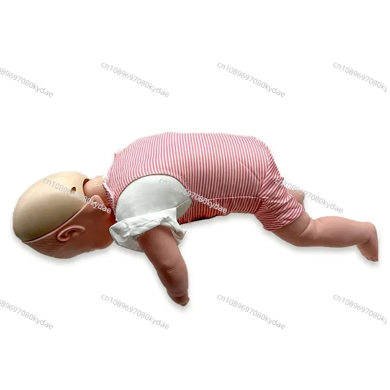 Infant Cardiopulmonary Resuscitation Manikin Training Cardiopulmonary Resuscitation Manikin Face Cover Detailed for Learning
Infant Cardiopulmonary Resuscitation Manikin Training Cardiopulmonary Resuscitation Manikin Face Cover Detailed for Learning