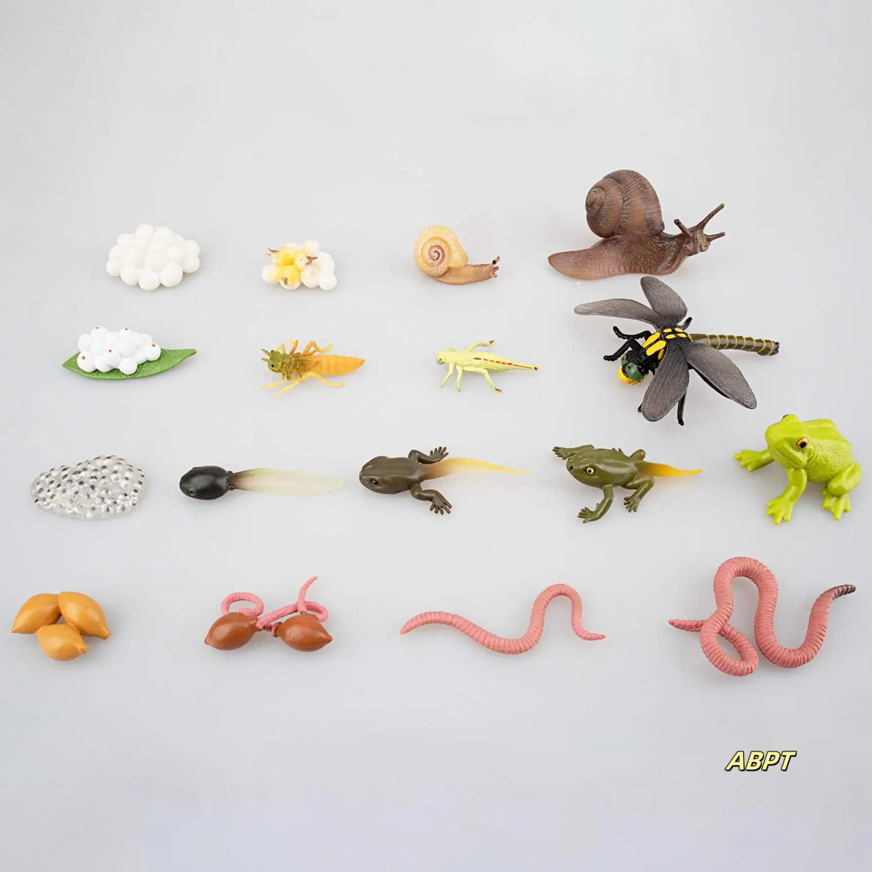 17PCS Life Cycle Of Frog Snail Earthworm Dragonfly, Egg Tadpole To Frog Safariology Amphibian Figurines Kit
17PCS Life Cycle Of Frog Snail Earthworm Dragonfly, Egg Tadpole To Frog Safariology Amphibian Figurines Kit