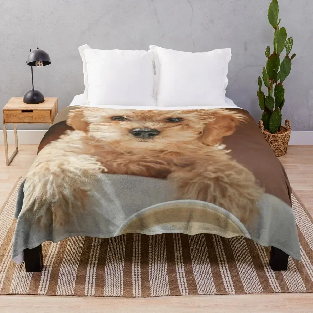 Cute Dog cockapoo Coffee Design Throw Blanket All Season Lightweight Soft Blanket for Bed
Cute Dog cockapoo Coffee Design Throw Blanket All Season Lightweight Soft Blanket for Bed