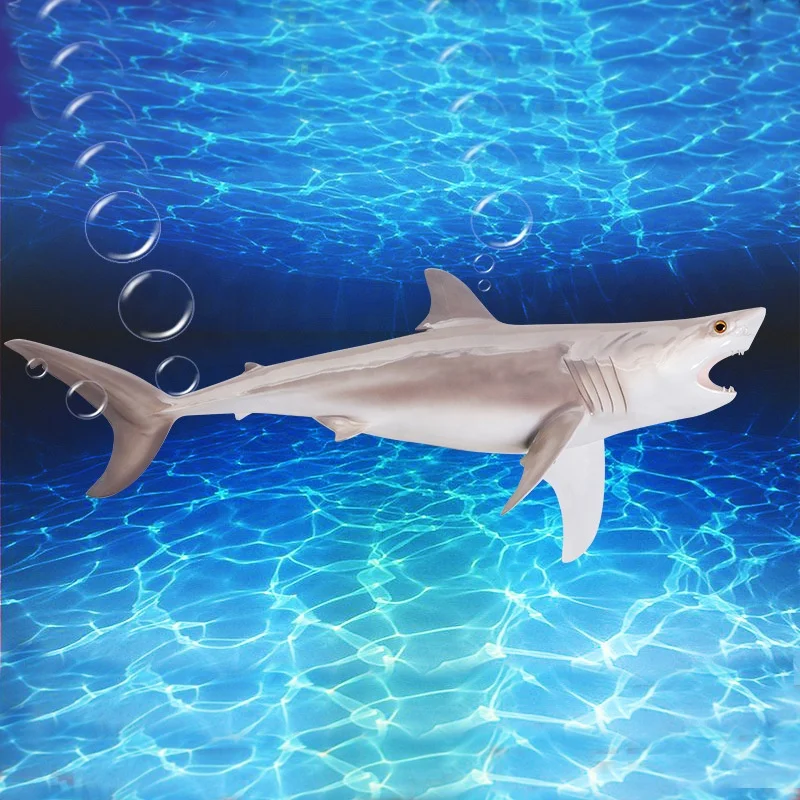 Custom Animal Sculpture Large Size Lifelike Outdoor Decoration Fiberglass Shark Statue
Custom Animal Sculpture Large Size Lifelike Outdoor Decoration Fiberglass Shark Statue
