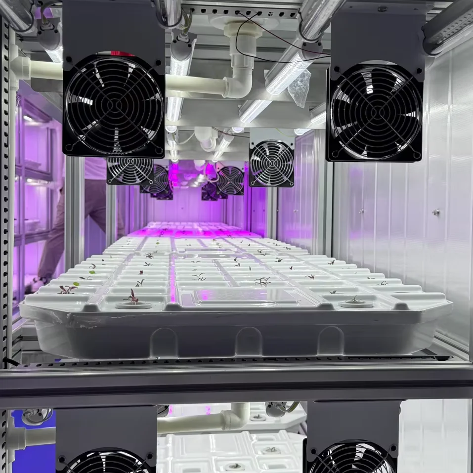 Customize High Rigidity Vertical Hydroponic Strawberry Tomato Growing Greenhouse Watering System 1 Year Warranty Tested
Customize High Rigidity Vertical Hydroponic Strawberry Tomato Growing Greenhouse Watering System 1 Year Warranty Tested
