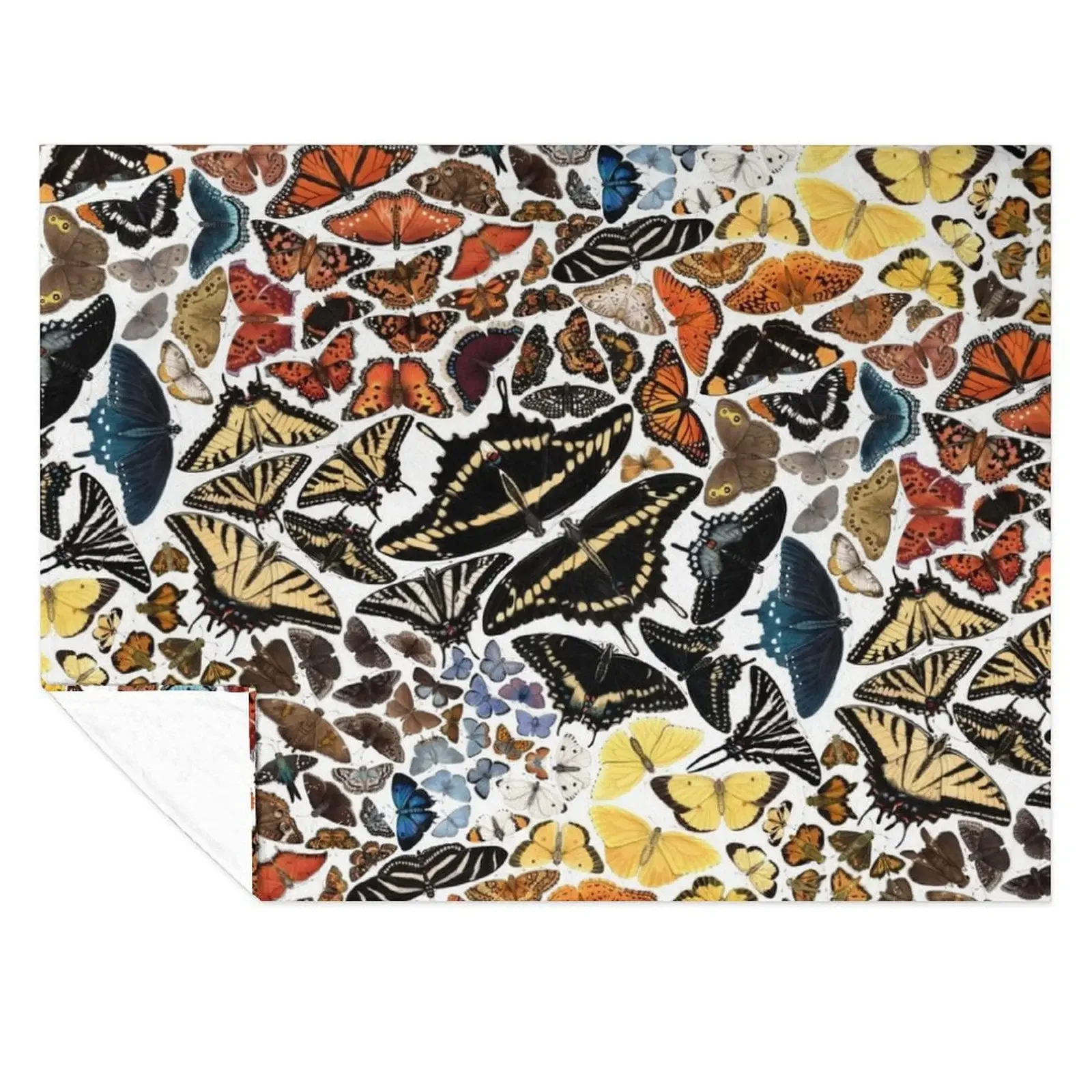 Butterflies of North America Pattern Throw Blanket Luxury St Kid'S Decorative Sofa Decoratives Blankets
Butterflies of North America Pattern Throw Blanket Luxury St Kid'S Decorative Sofa Decoratives Blankets