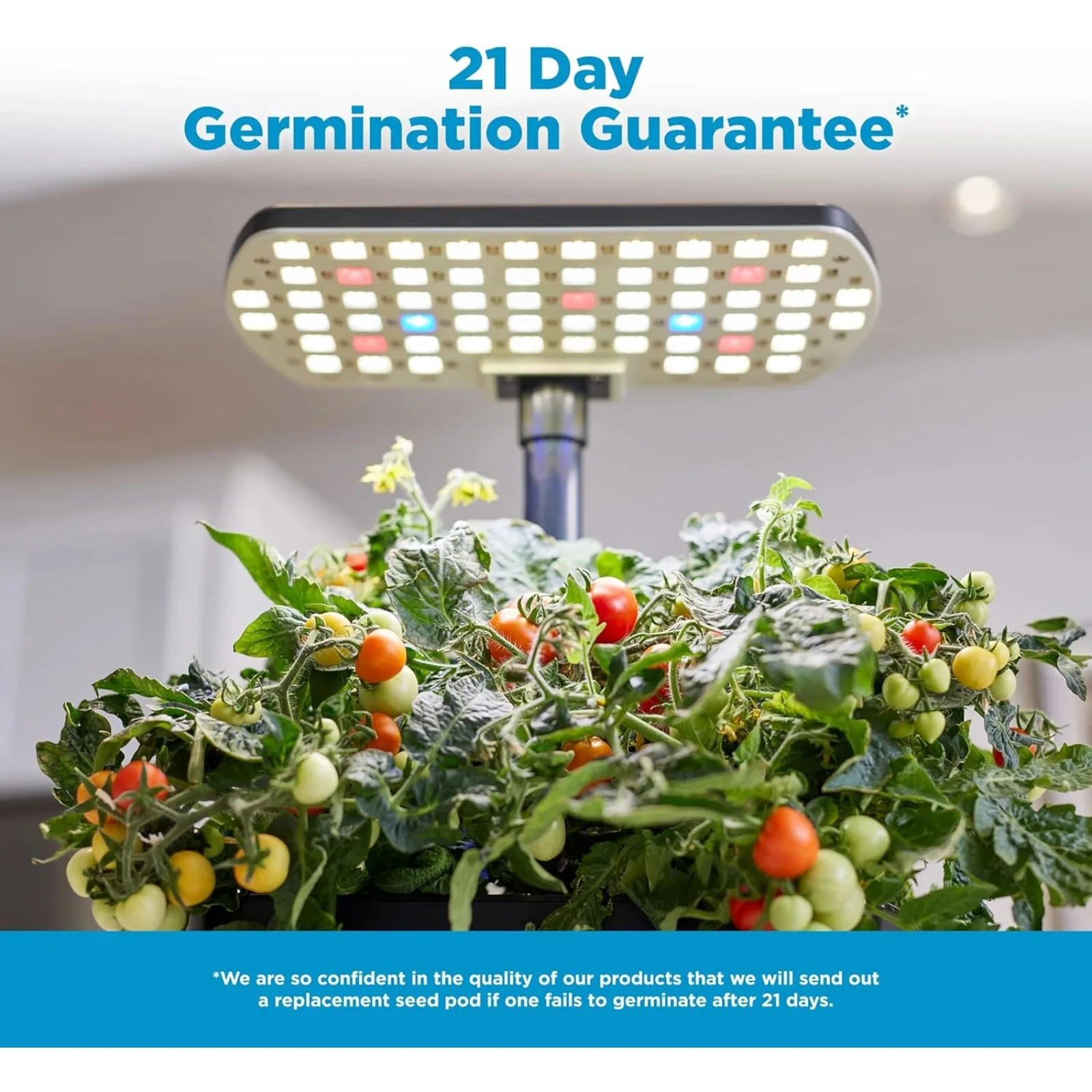 US AeroGarden Harvest 2.0, Indoor Garden Hydroponic System with LED Grow Light, Holds up to 6 AeroGarden Pods, Cream
US AeroGarden Harvest 2.0, Indoor Garden Hydroponic System with LED Grow Light, Holds up to 6 AeroGarden Pods, Cream