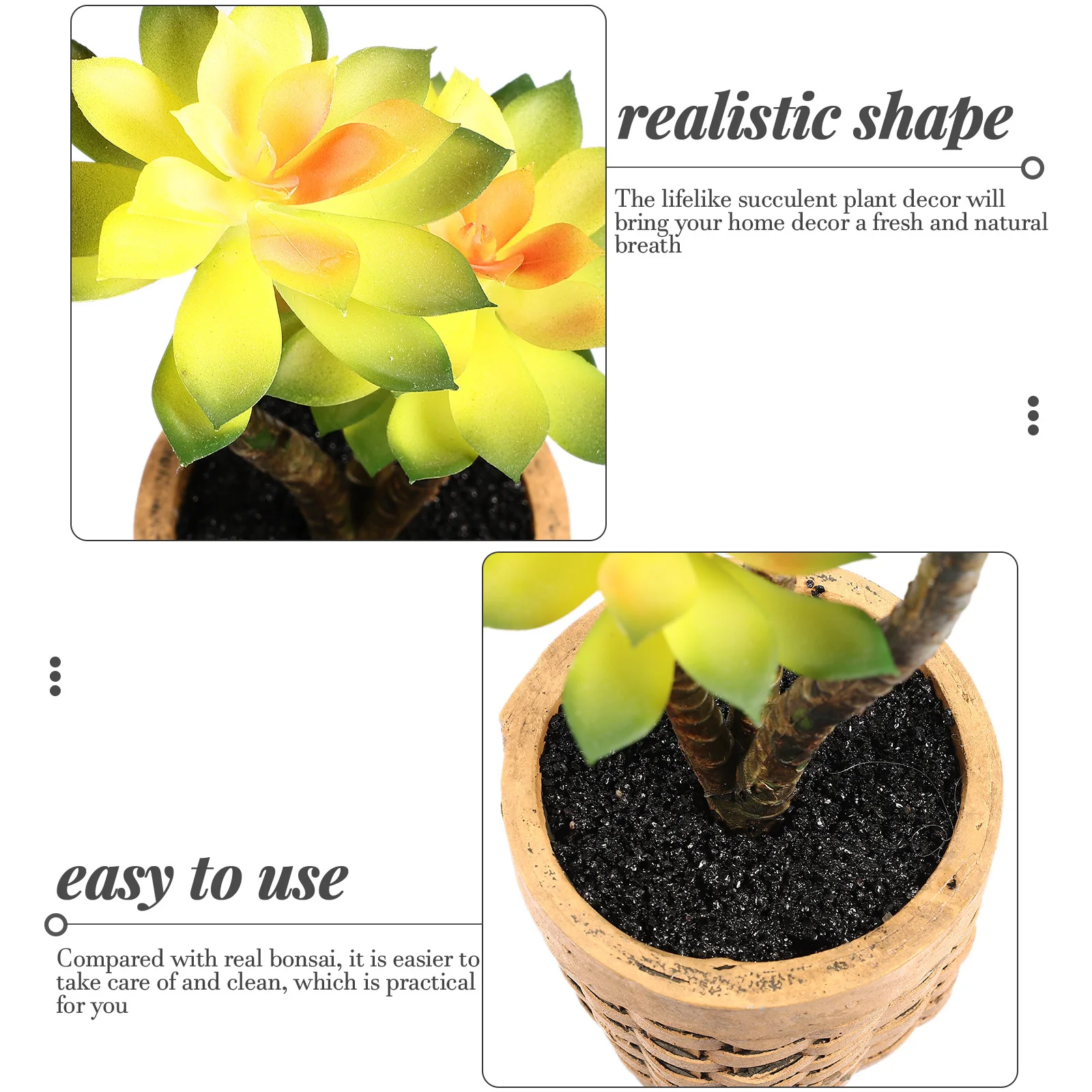 2Pcs Simulation Succulents Plant Potted Artificial Decor Home Hotel Restaurant Faux Plant Desktop Greenery Fake Bonsai
2Pcs Simulation Succulents Plant Potted Artificial Decor Home Hotel Restaurant Faux Plant Desktop Greenery Fake Bonsai
