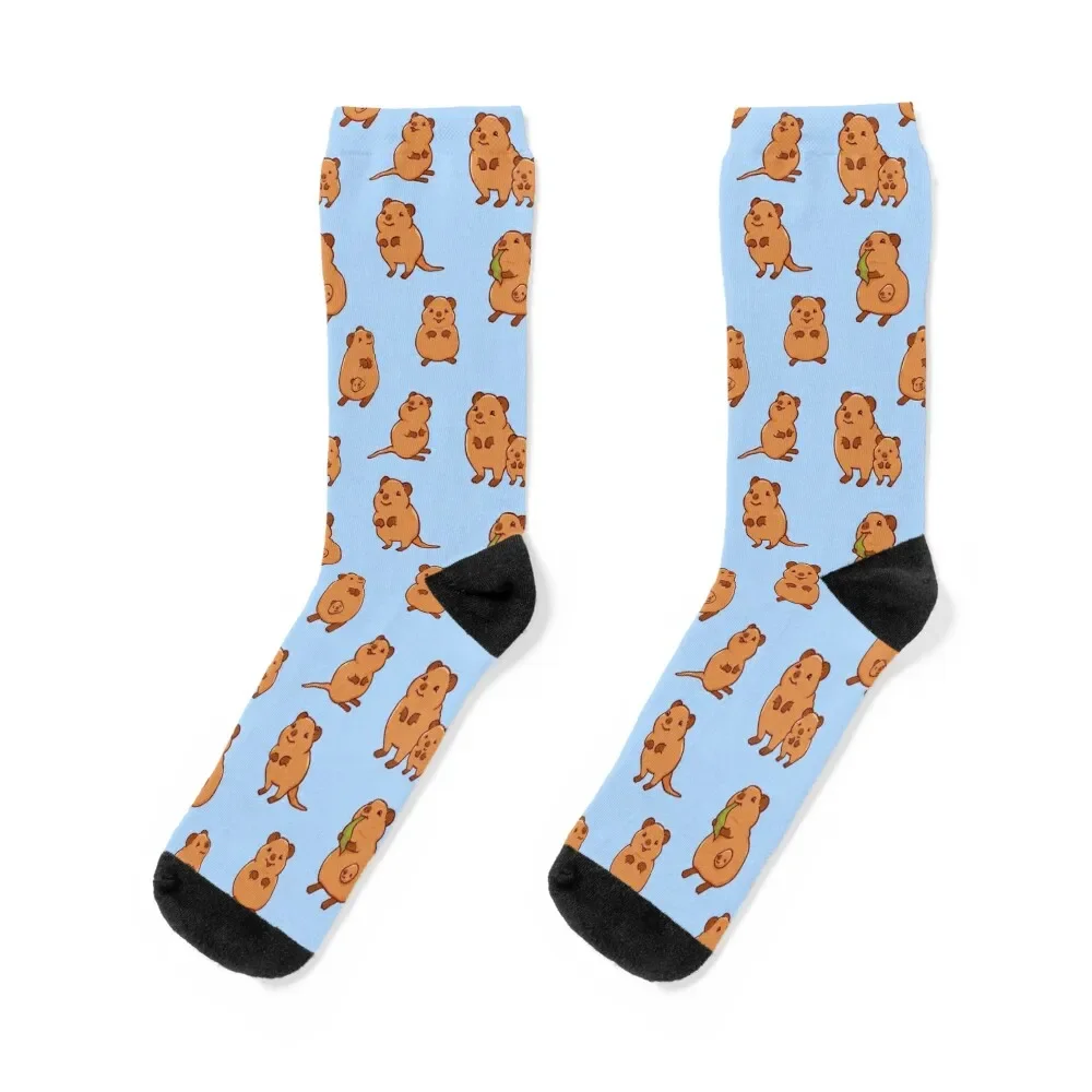 Cute quokka illustration, quokka art, seamless pattern, cartoon quokka art Socks Run Socks Girl Men's
Cute quokka illustration, quokka art, seamless pattern, cartoon quokka art Socks Run Socks Girl Men's