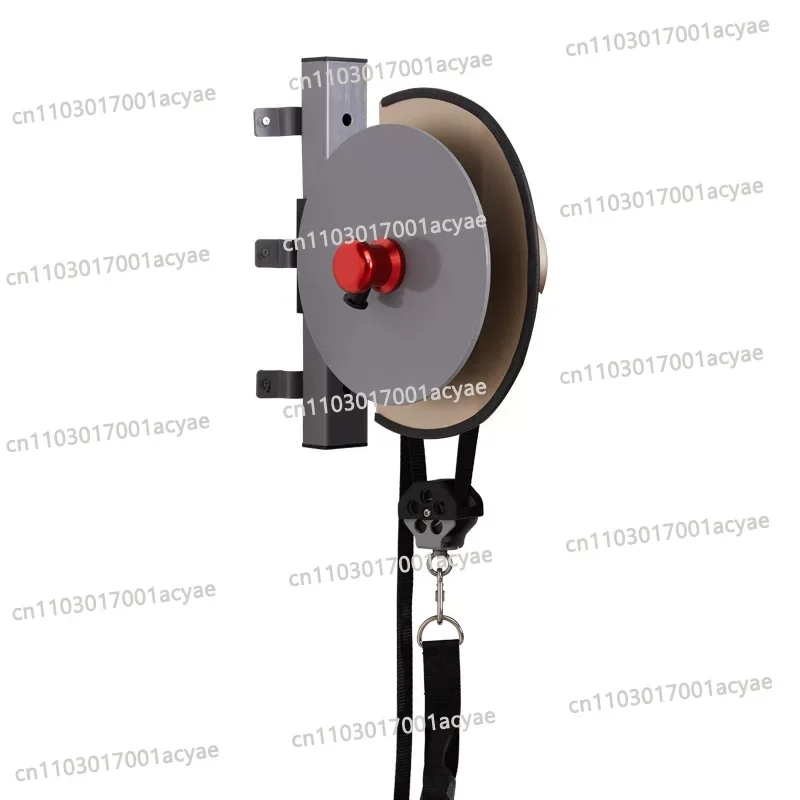 Wall-mounted small centrifuge, overload centrifugal training dynamometer, hanging training belt fitness equipment
Wall-mounted small centrifuge, overload centrifugal training dynamometer, hanging training belt fitness equipment