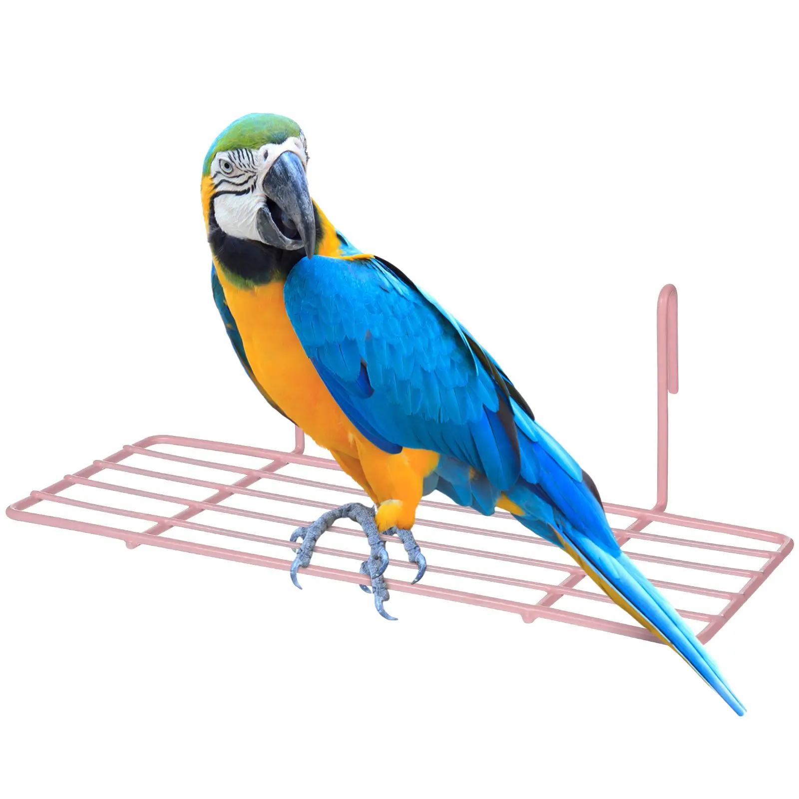 Pink Perches Bird Cages Parrot Accessories Grid Wall Shelf Iron Frame Shelf Pet Products Nest Resting Place Storage Display
Pink Perches Bird Cages Parrot Accessories Grid Wall Shelf Iron Frame Shelf Pet Products Nest Resting Place Storage Display