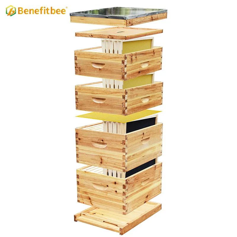 Hot Sale Factory Price 4 Layer Langstroth Beehive Kit Wooden Pine Beeswax Dipped 10 Frame Beekeeping Hive
Hot Sale Factory Price 4 Layer Langstroth Beehive Kit Wooden Pine Beeswax Dipped 10 Frame Beekeeping Hive