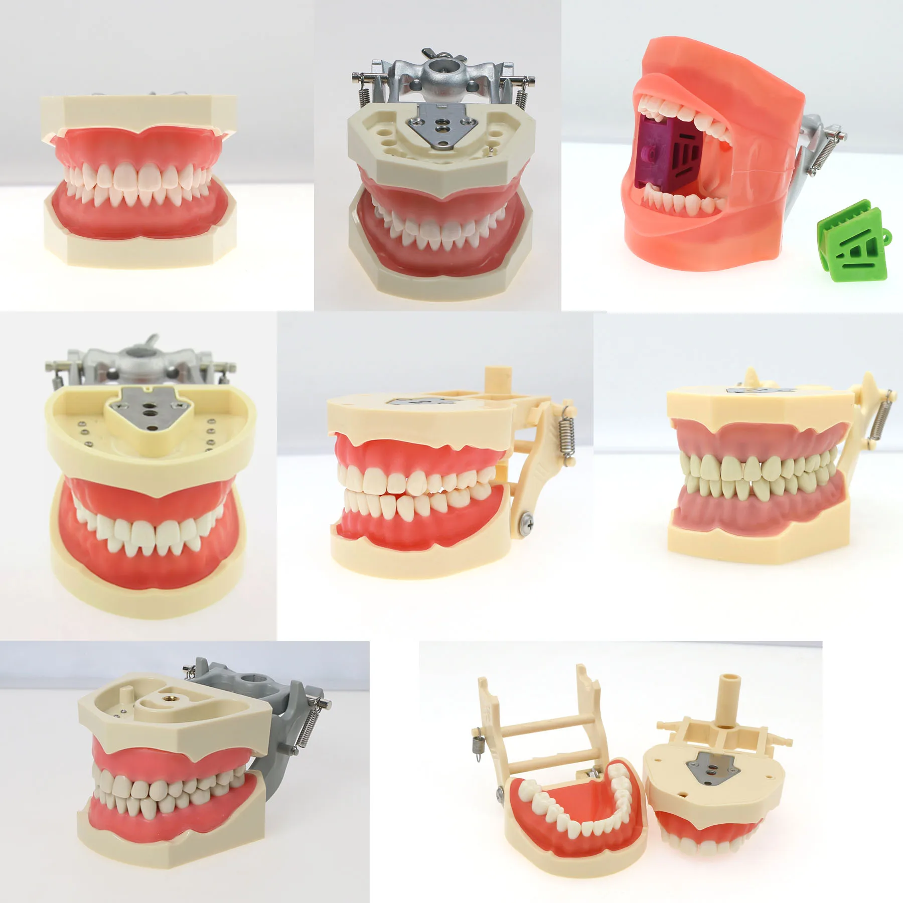 Dental Multiple Types Model Teeth Teaching Models Study Implant Orthodontic Removable Teeth Implant Models Dentist Material
Dental Multiple Types Model Teeth Teaching Models Study Implant Orthodontic Removable Teeth Implant Models Dentist Material