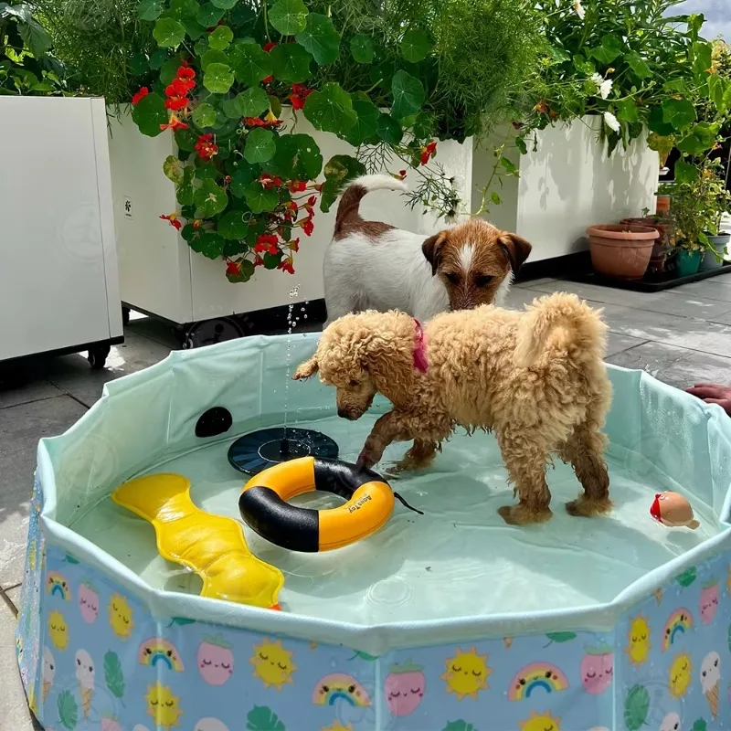 dog toy Hot Sale Foldable 2 in 1 Paddling Pet Dog Swimming Pool Foldable Dog Pet Bath Pool
dog toy Hot Sale Foldable 2 in 1 Paddling Pet Dog Swimming Pool Foldable Dog Pet Bath Pool