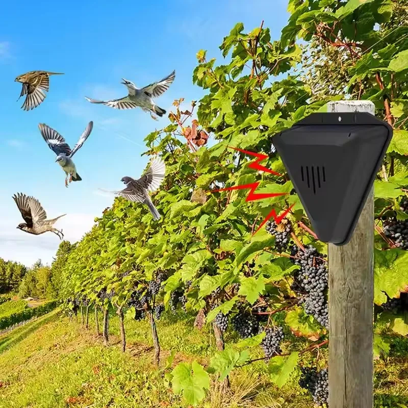 Waterproof Solar bird repeller timed sound and light alarm during the day orchard fish pond rice field to repel pigeons
Waterproof Solar bird repeller timed sound and light alarm during the day orchard fish pond rice field to repel pigeons