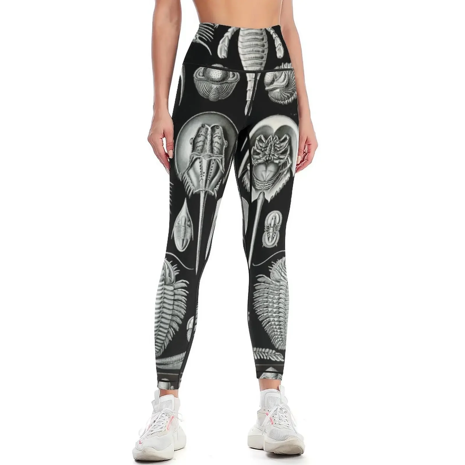 Haeckel Trilobite Leggings leggins push up woman legging push up for girls sports woman gym Womens Leggings
Haeckel Trilobite Leggings leggins push up woman legging push up for girls sports woman gym Womens Leggings