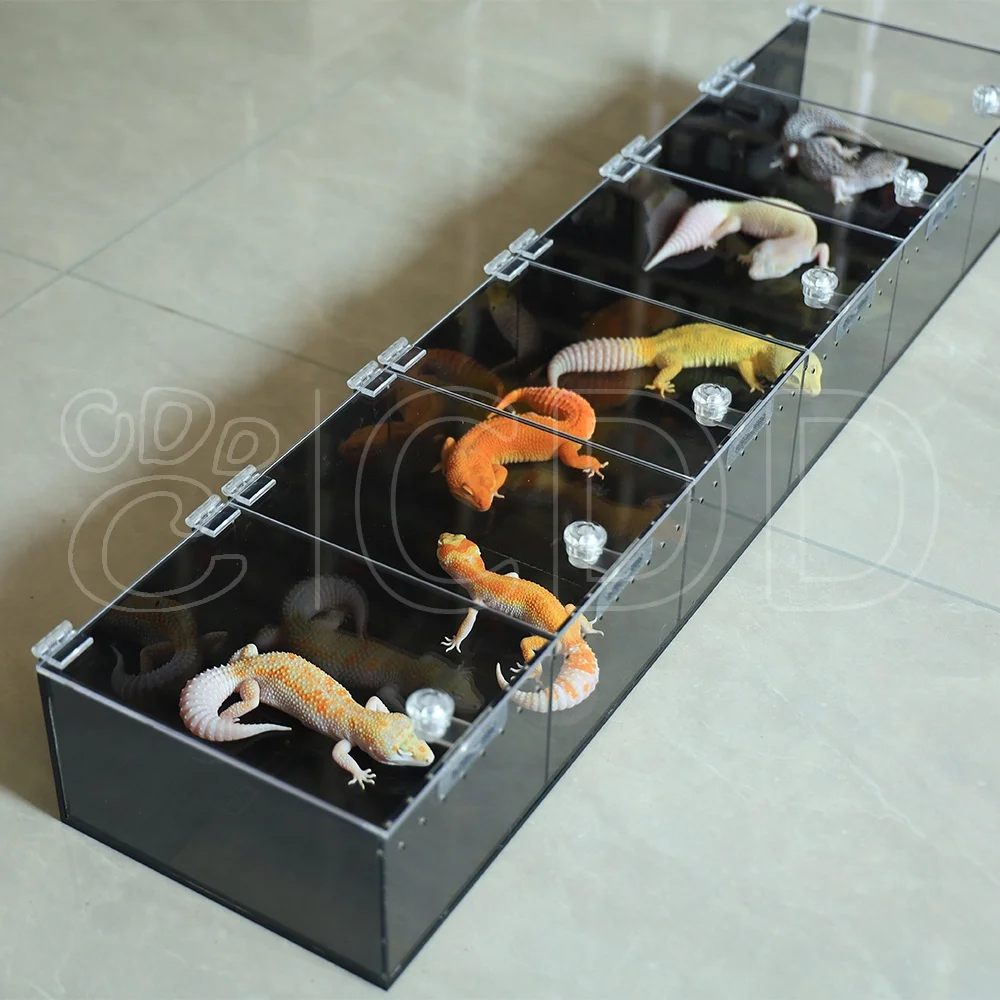 Factory New Custom Clear Acrylic Reptile Snake Display Stand 3 Shelves Geckos Pets Elegant Design Amphibian Supplies Black
Factory New Custom Clear Acrylic Reptile Snake Display Stand 3 Shelves Geckos Pets Elegant Design Amphibian Supplies Black