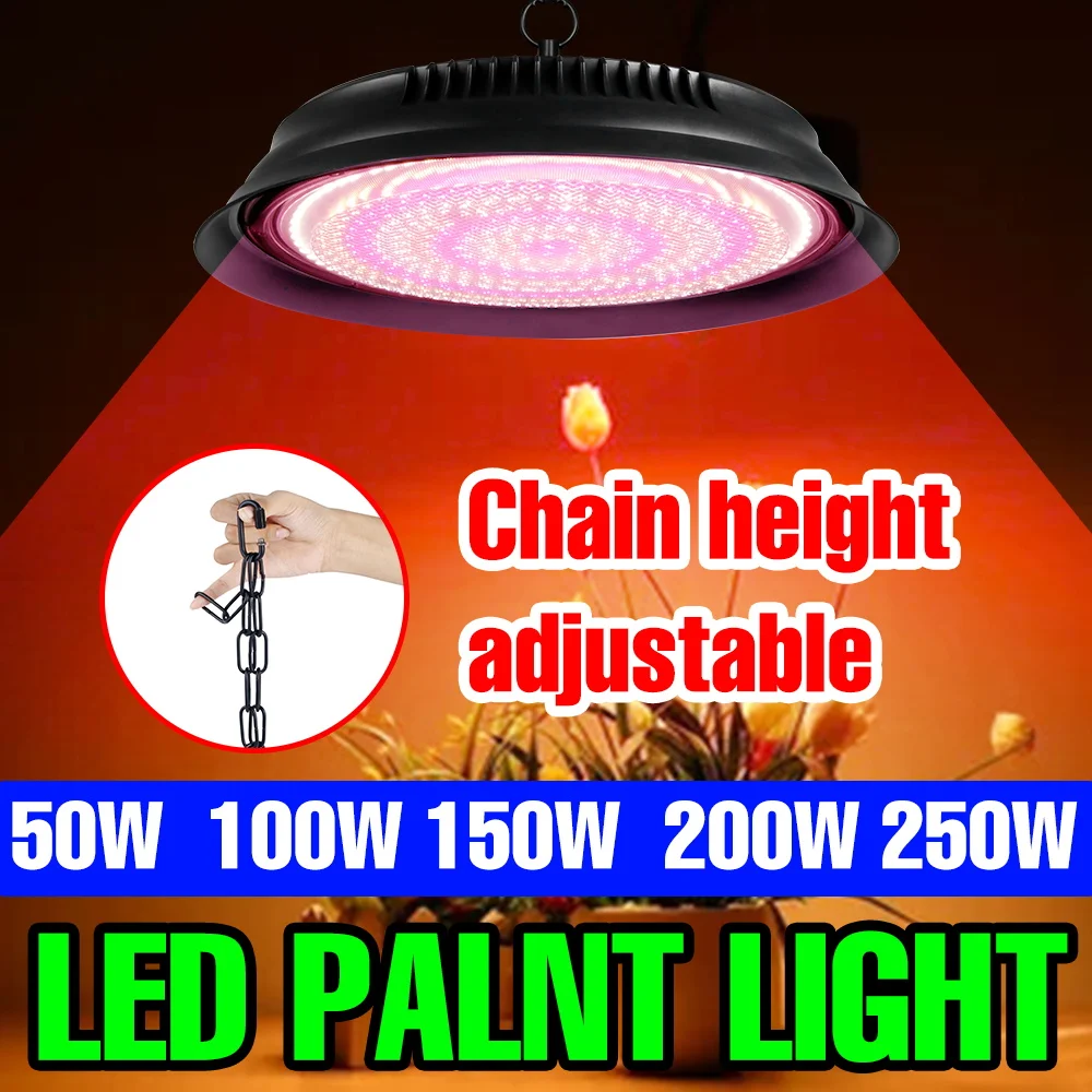 250W LED Full Spectrum Grow Light Indoor Hydroponics Plant Lamp For Greenhouse Tent Flower Tomato Vegetable Cultivation 100-277V
250W LED Full Spectrum Grow Light Indoor Hydroponics Plant Lamp For Greenhouse Tent Flower Tomato Vegetable Cultivation 100-277V