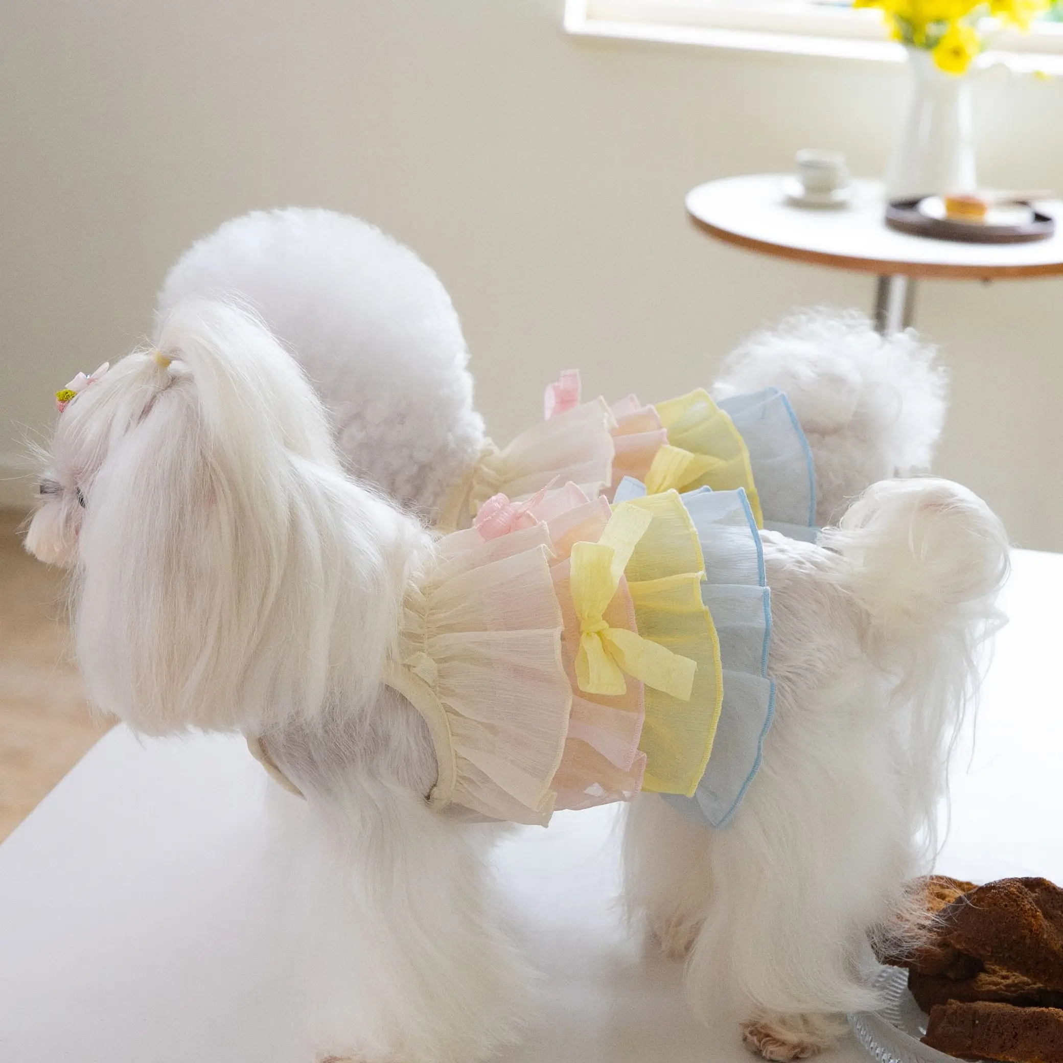 Pet Dress Rainbow Chiffon Dress Cake Layered Dog Skirt Pet Cat Dog Teddy Skirt Fashion Pet Clothes Puppy Dress
Pet Dress Rainbow Chiffon Dress Cake Layered Dog Skirt Pet Cat Dog Teddy Skirt Fashion Pet Clothes Puppy Dress