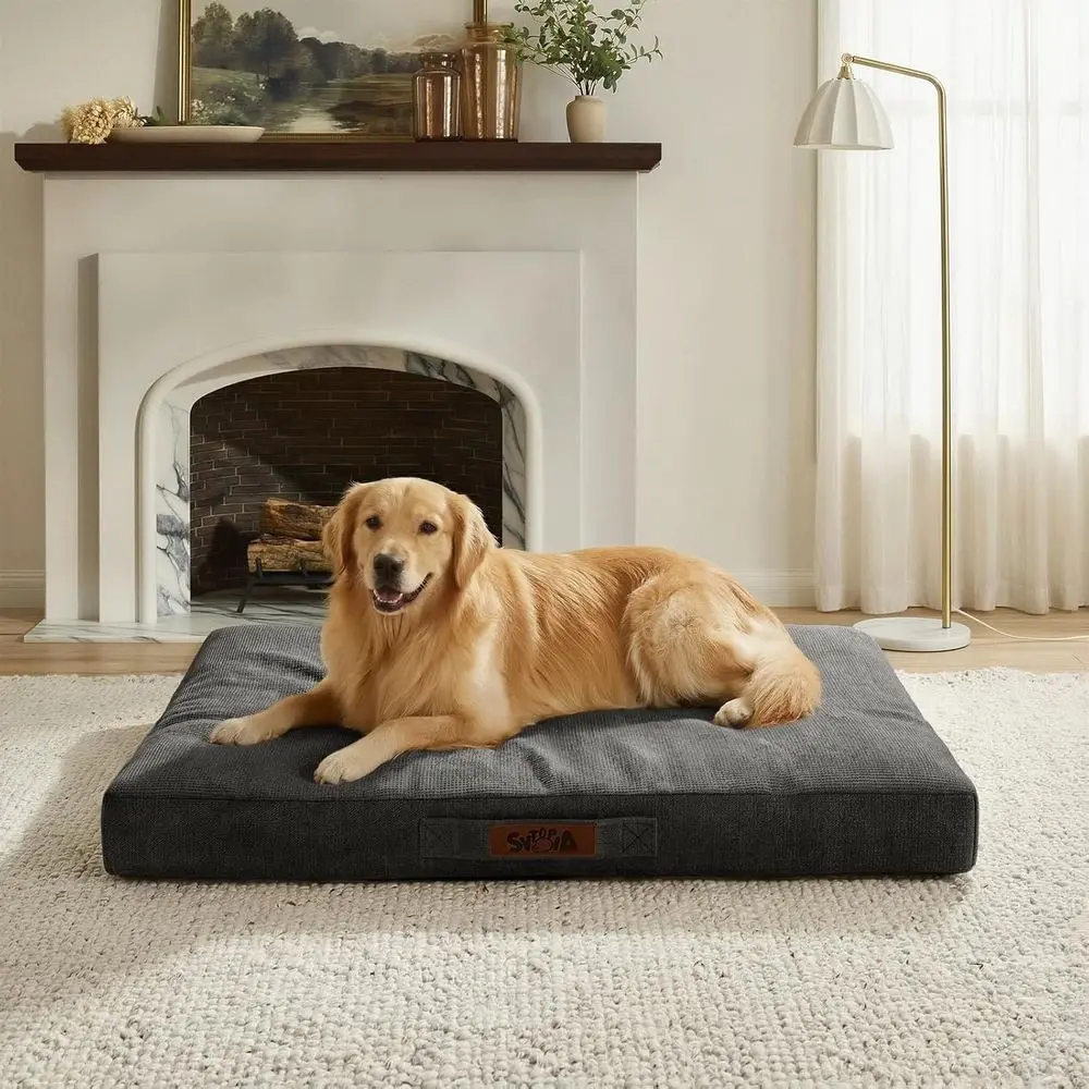 42 Durable Waterproof Orthopedic XL Dog Bed, Supports Up to 100 lbs, Ideal for Large Dogs, Indoor/Outdoor Use, Grey
42 Durable Waterproof Orthopedic XL Dog Bed, Supports Up to 100 lbs, Ideal for Large Dogs, Indoor/Outdoor Use, Grey