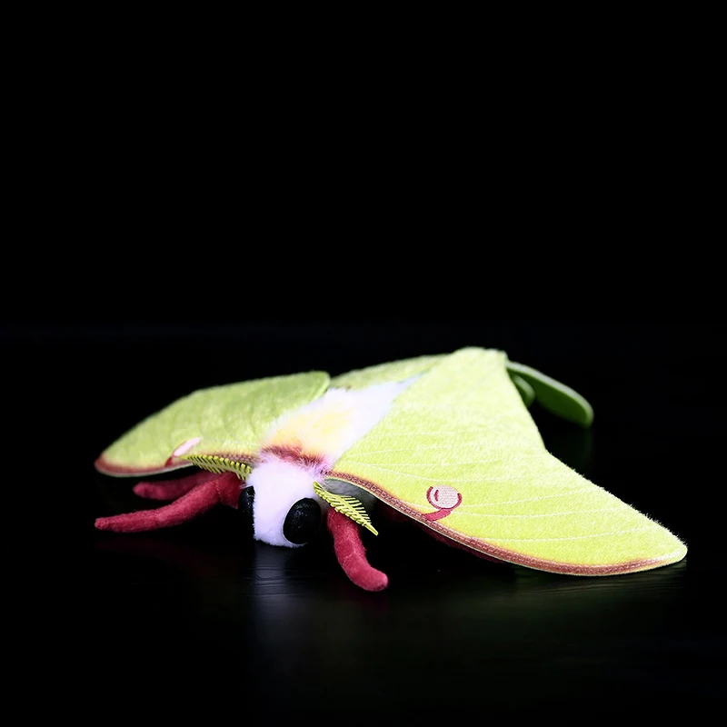 Luna Moth Plush Toy Soft Stuffed Animal Model Lifelike Simulation Doll for Kids American Actias Luna Gift
Luna Moth Plush Toy Soft Stuffed Animal Model Lifelike Simulation Doll for Kids American Actias Luna Gift