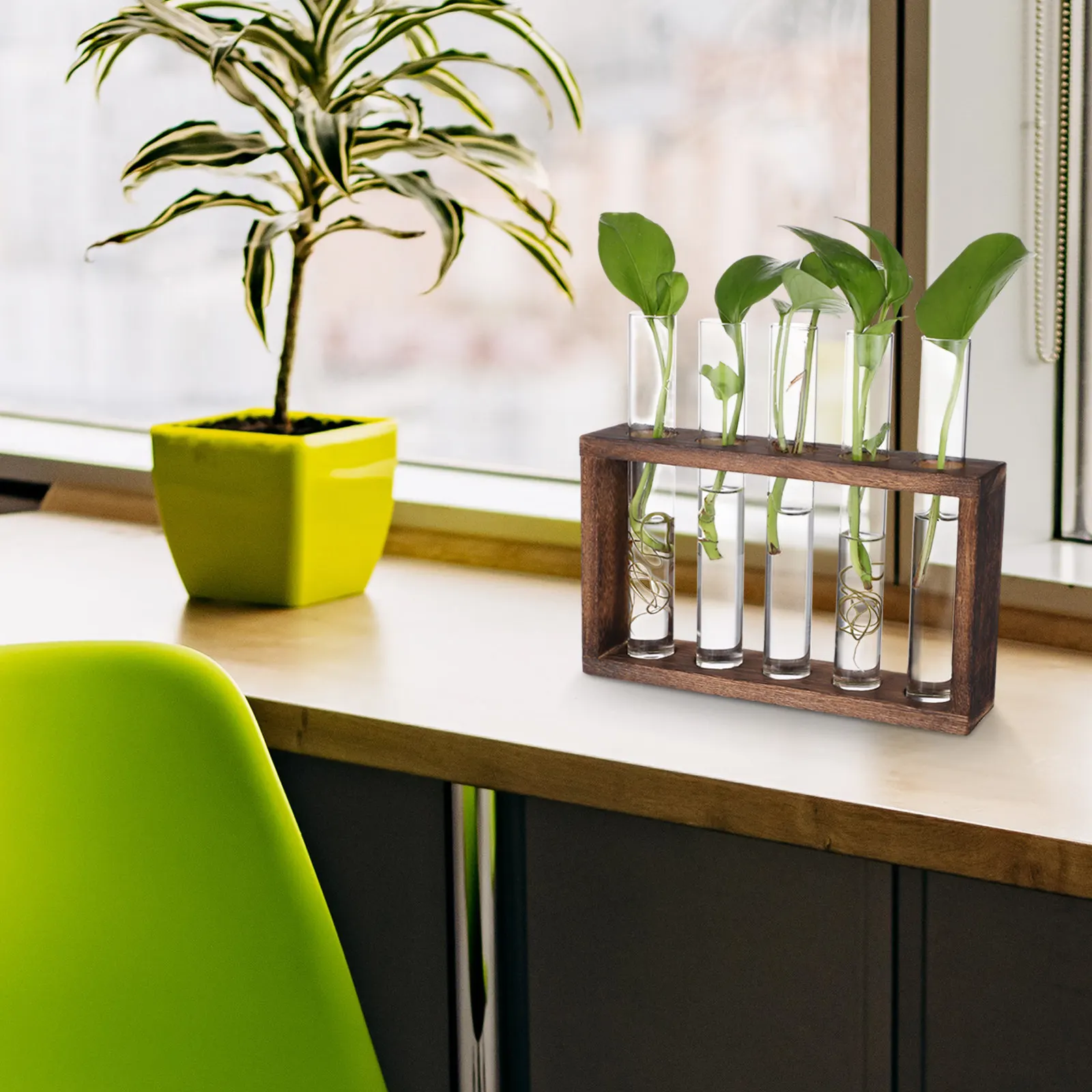 5-Tube Wooden Plant Propagation Station with Glass Test Tubes Wall Mountable Hydroponic Planter for Pothos Violets Bamboo Home
5-Tube Wooden Plant Propagation Station with Glass Test Tubes Wall Mountable Hydroponic Planter for Pothos Violets Bamboo Home