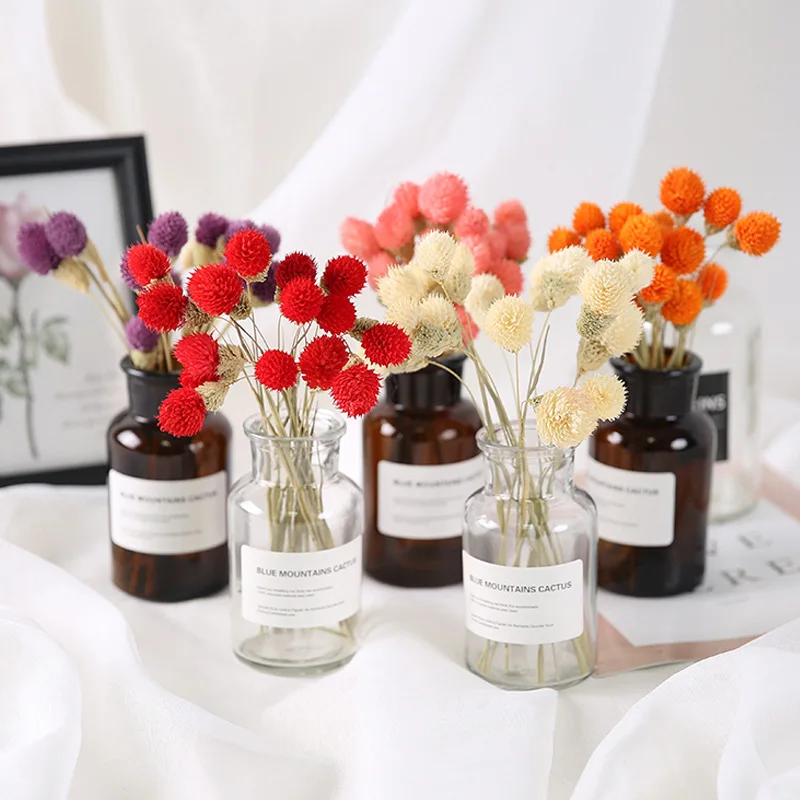 10pcs Natural Dried Flower Strawberry Fruit Living Room Wedding Bouquet Arrangement Material Crafts Accessories And Materials
10pcs Natural Dried Flower Strawberry Fruit Living Room Wedding Bouquet Arrangement Material Crafts Accessories And Materials