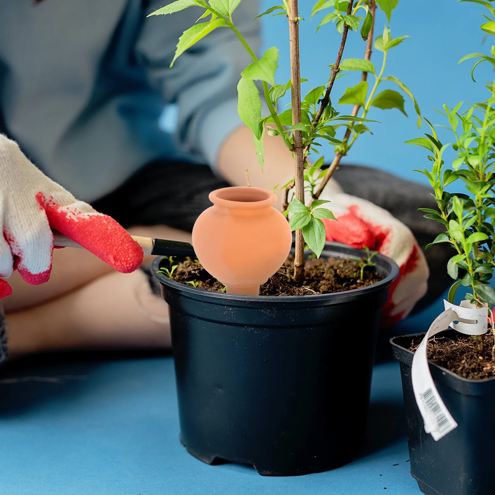 Automatic Watering Spike Self Watering Ceramic Spike Drip Irrigation Stake for Cactus Flower Pot Auto Irrigation Device Easy Use
Automatic Watering Spike Self Watering Ceramic Spike Drip Irrigation Stake for Cactus Flower Pot Auto Irrigation Device Easy Use