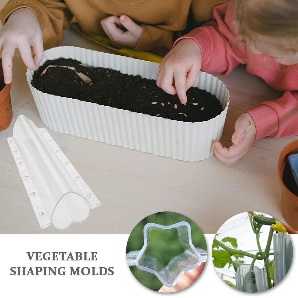 Fruit Shaping Mold and Vegetable Tools Cucumber Shapes Molds for Garden Gardening Styling Growth Food Fruits 
Fruit Shaping Mold and Vegetable Tools Cucumber Shapes Molds for Garden Gardening Styling Growth Food Fruits