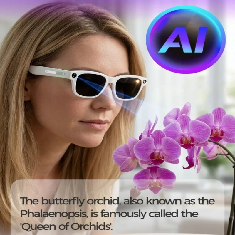 AIBB-S1 AI Glasses 1080P HD Take a Photo Recording AI Dialogue VoiceWake-Up AI Image Recognition Real-Time Translation BT Calls
AIBB-S1 AI Glasses 1080P HD Take a Photo Recording AI Dialogue VoiceWake-Up AI Image Recognition Real-Time Translation BT Calls