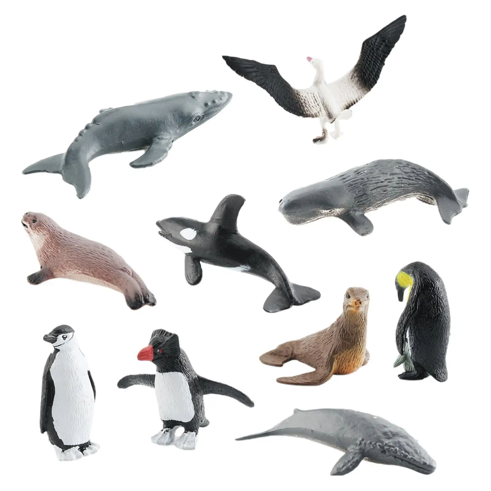 10Pcs Antarctic Marine Animals Realistic Animals Model Playset Sea Animal Figures for Theme Party Children Toy Desktop Decor
10Pcs Antarctic Marine Animals Realistic Animals Model Playset Sea Animal Figures for Theme Party Children Toy Desktop Decor