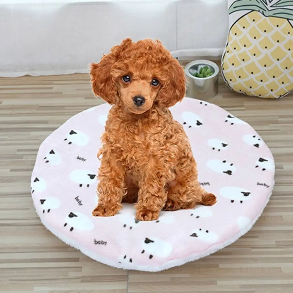 Cat Accessories Short Plush Pet Sleeping Bed Mats Soft Washable Pet Cushion Warm Pet Pad Blanket Small Medium Dogs
Cat Accessories Short Plush Pet Sleeping Bed Mats Soft Washable Pet Cushion Warm Pet Pad Blanket Small Medium Dogs