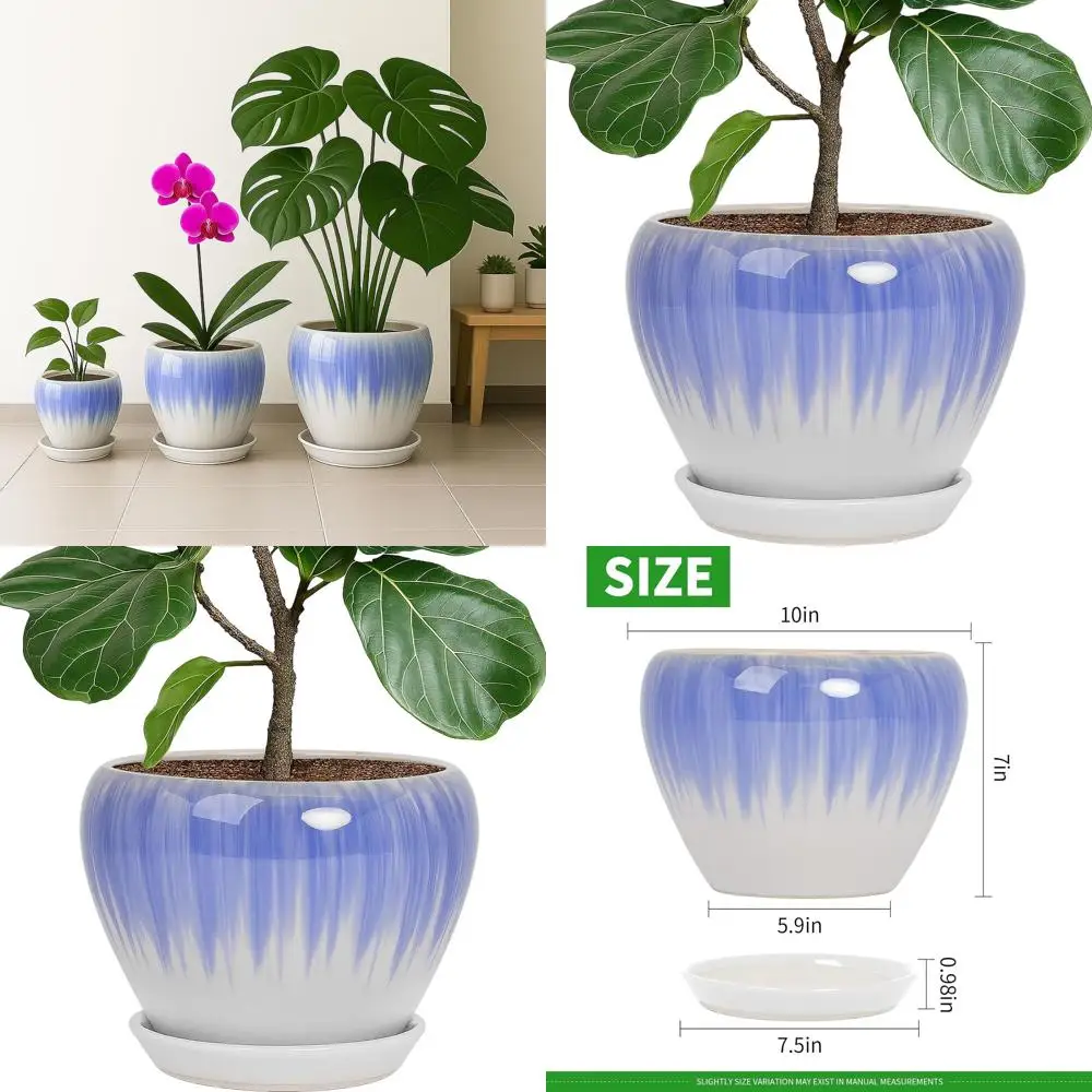 Круглый цветочный горшок 10 дюймов с дренажными отверстиями и поддонами, подходит для комнатных и уличных растений, белый и синий
Круглый цветочный горшок 10 дюймов с дренажными отверстиями и поддонами, подходит для комнатных и уличных растений, белый и синий