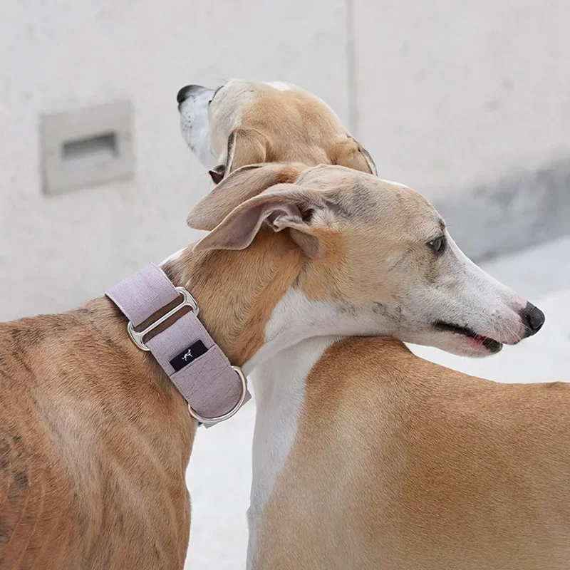 Martingale Pet Collar Widened Small-large Dog Collar Bellington Whipbit Greyhound Dogs Accesorios Designer Collar Perro
Martingale Pet Collar Widened Small-large Dog Collar Bellington Whipbit Greyhound Dogs Accesorios Designer Collar Perro