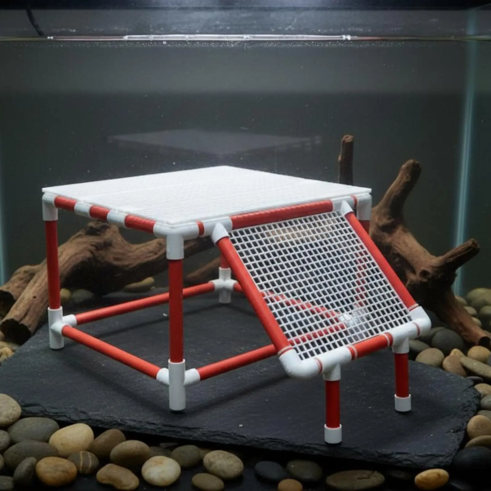 Turtle Basking Platform DIY Turtle Sunning Stand Amphibian Resting Platform Raised Design Pet Habitat for Aquarium, Terrarium
Turtle Basking Platform DIY Turtle Sunning Stand Amphibian Resting Platform Raised Design Pet Habitat for Aquarium, Terrarium