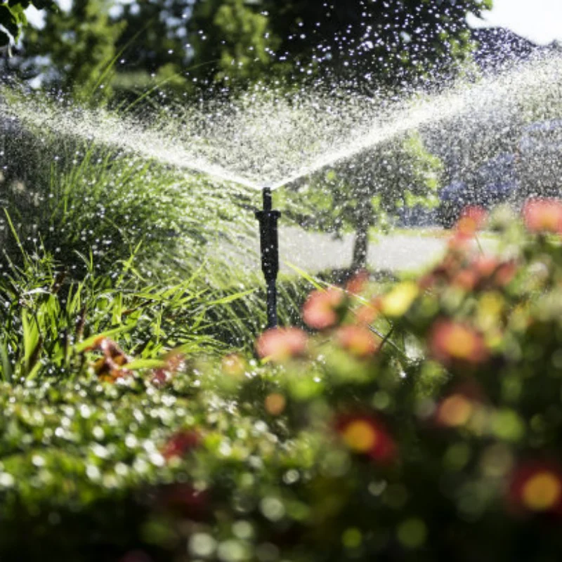 For MJX Hyper Go 14301 14302 14303 1/14 high speed RC cars replacement parts body shell wheel base 195mm tail wing
For MJX Hyper Go 14301 14302 14303 1/14 high speed RC cars replacement parts body shell wheel base 195mm tail wing