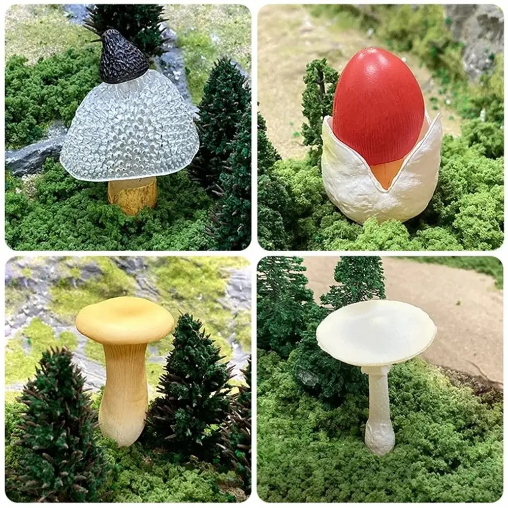 Vegetable Model Fungus Figurines Landscape Miniatures Matsutake Oyste Simulation Mushroom Artificial Teaching Toy Fungus Model
Vegetable Model Fungus Figurines Landscape Miniatures Matsutake Oyste Simulation Mushroom Artificial Teaching Toy Fungus Model