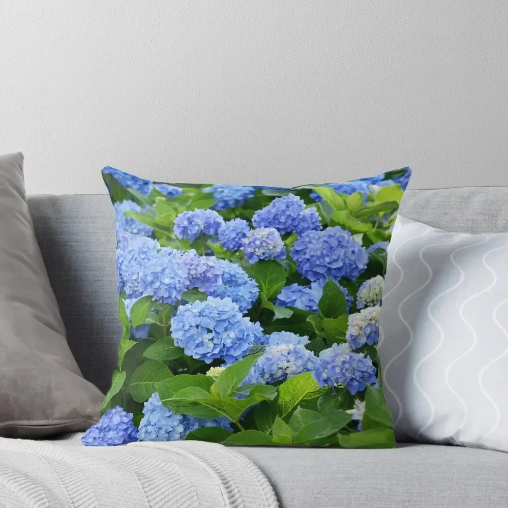 Beautiful Purple & Blue Nantucket Hydrangeas Blooming Throw Pillow Decorative Cushion Cover Decorative Sofa Cushions pillow
Beautiful Purple & Blue Nantucket Hydrangeas Blooming Throw Pillow Decorative Cushion Cover Decorative Sofa Cushions pillow