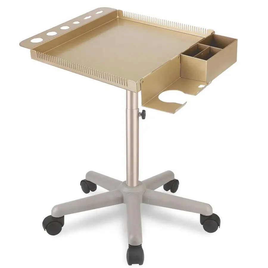 Salon Carts, Champagne Gold Salons Tray for Hair Stylist, MultiFunction Salons Tray, Salon Stationwith Wheels,Large Customizable
Salon Carts, Champagne Gold Salons Tray for Hair Stylist, MultiFunction Salons Tray, Salon Stationwith Wheels,Large Customizable