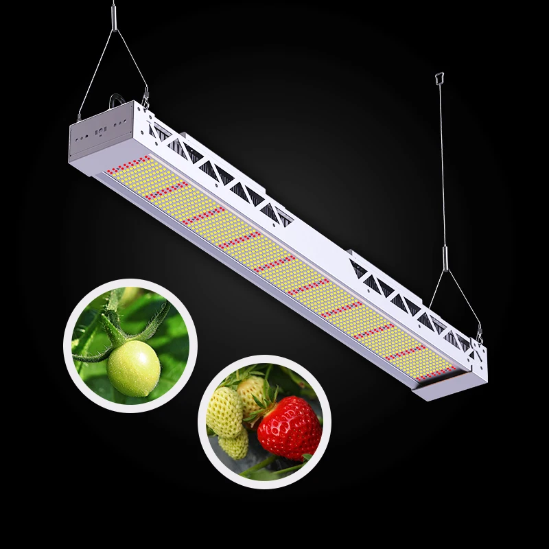 Aluminum 300W/600W Indoor Bar Vertical Farming Plant Growth IP33 Full Spectrum Dimmable LED Grow Lights 33000lm Bloom Support
Aluminum 300W/600W Indoor Bar Vertical Farming Plant Growth IP33 Full Spectrum Dimmable LED Grow Lights 33000lm Bloom Support