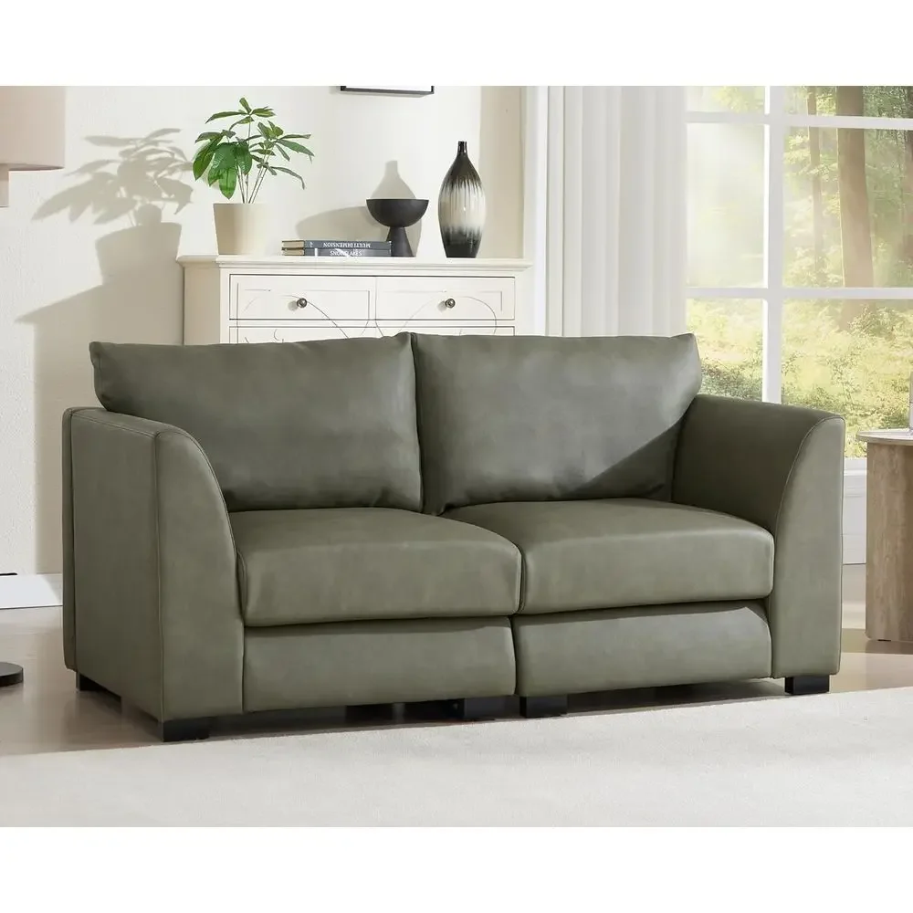 Green 2-Seater Leather Loveseat with Removable Cover, Perfect for Small Living Spaces
Green 2-Seater Leather Loveseat with Removable Cover, Perfect for Small Living Spaces