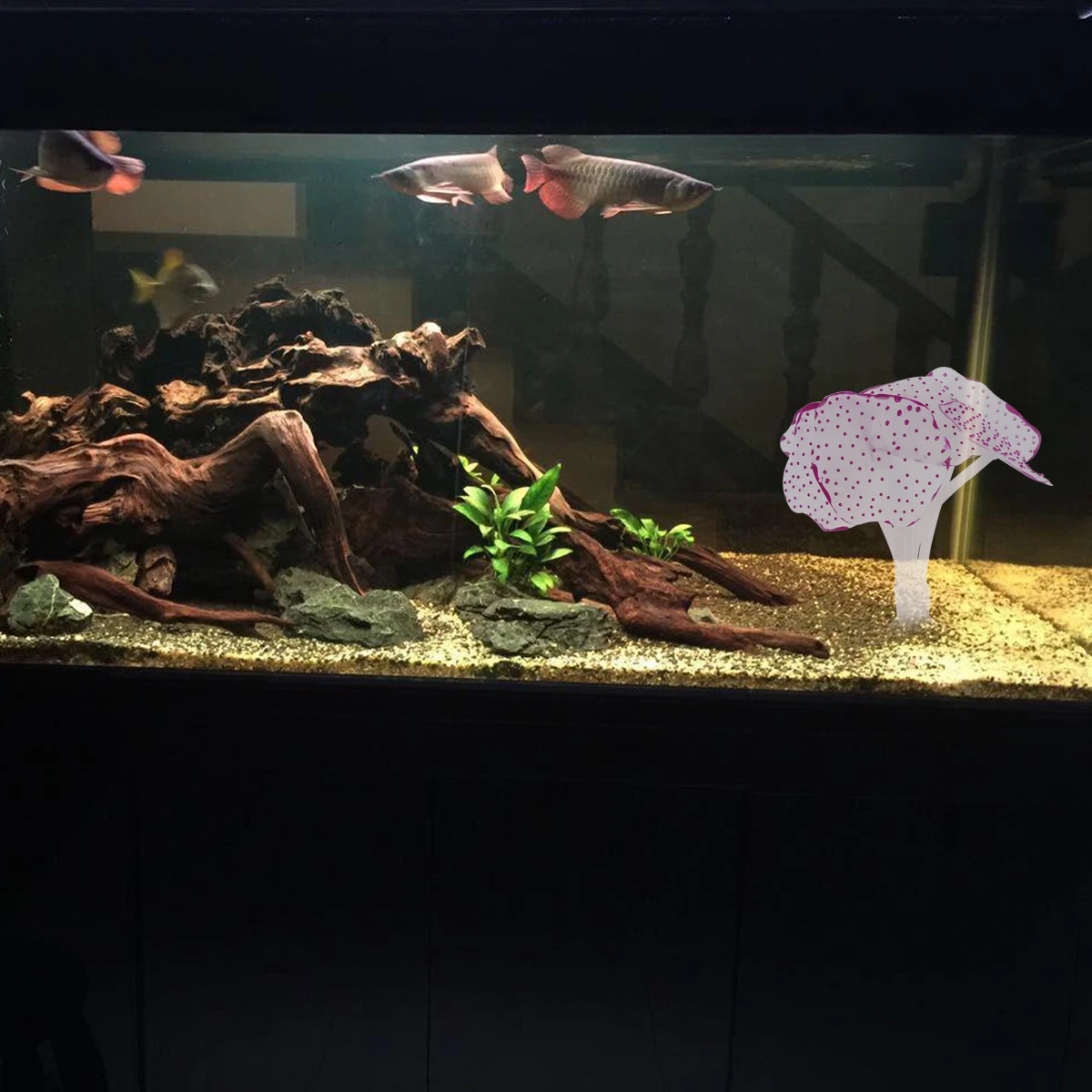 Fluorescent Artificial Coral Silicone Simulation Jellyfish Purple Durable Realistic Terrarium Ornament Aquarium Decor
Fluorescent Artificial Coral Silicone Simulation Jellyfish Purple Durable Realistic Terrarium Ornament Aquarium Decor