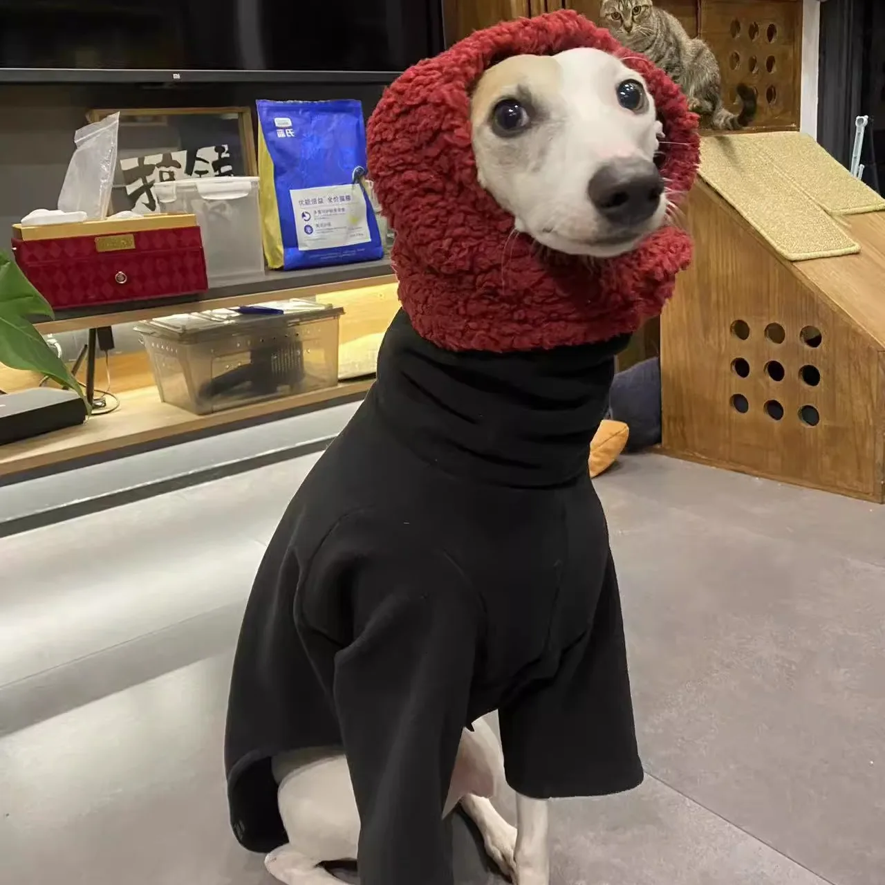 Winter Warm 2-legged Black Jacket for Italy Greyhound Fleece Sweater for Wellington Autumn Thick Fashion Sweatshirt for Dogs
Winter Warm 2-legged Black Jacket for Italy Greyhound Fleece Sweater for Wellington Autumn Thick Fashion Sweatshirt for Dogs