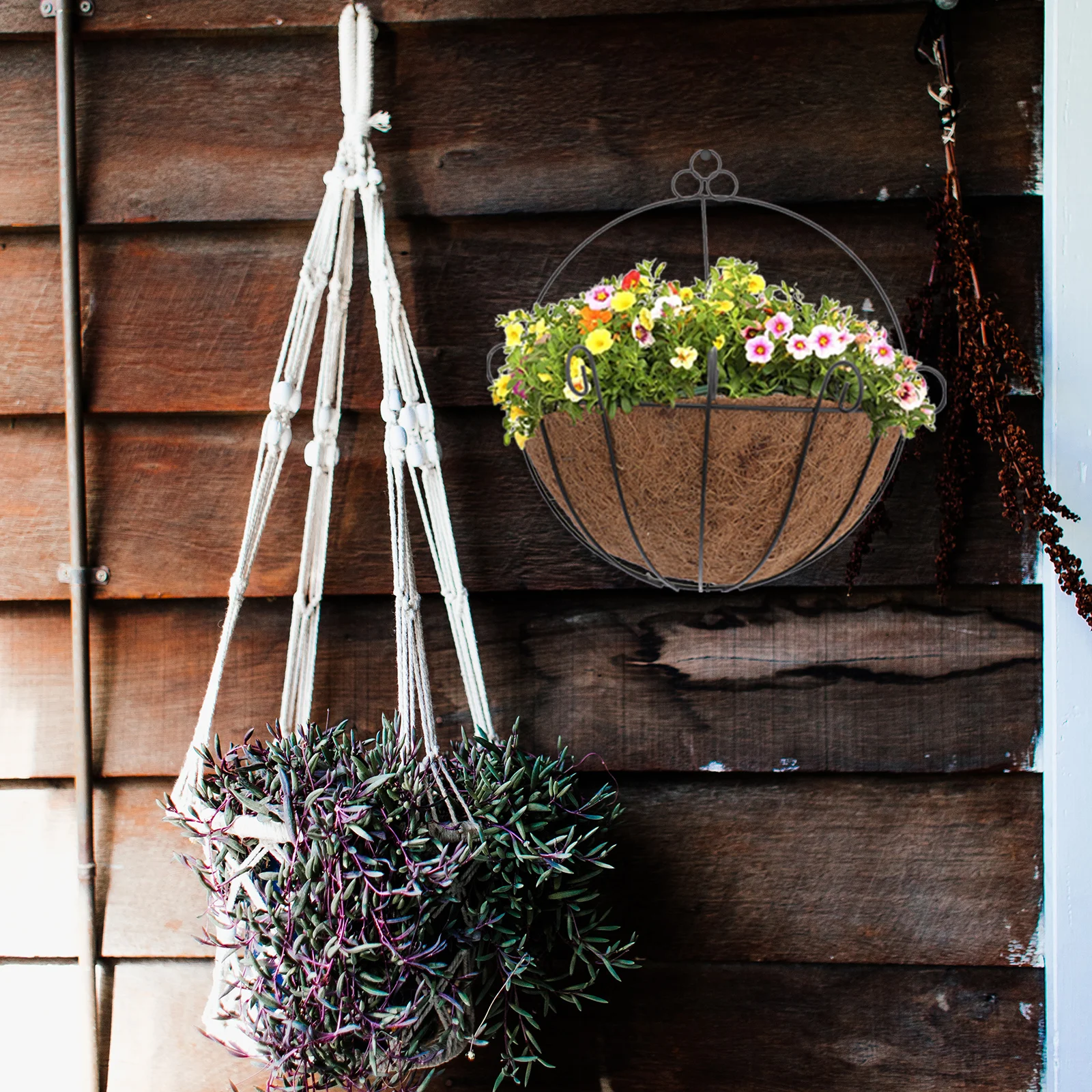 Hanging Wall Planter 12 Inch Durable Coconut Fiber Steel Wire Rustproof Plant Holder Basket Flower Pot Balcony Decorative
Hanging Wall Planter 12 Inch Durable Coconut Fiber Steel Wire Rustproof Plant Holder Basket Flower Pot Balcony Decorative