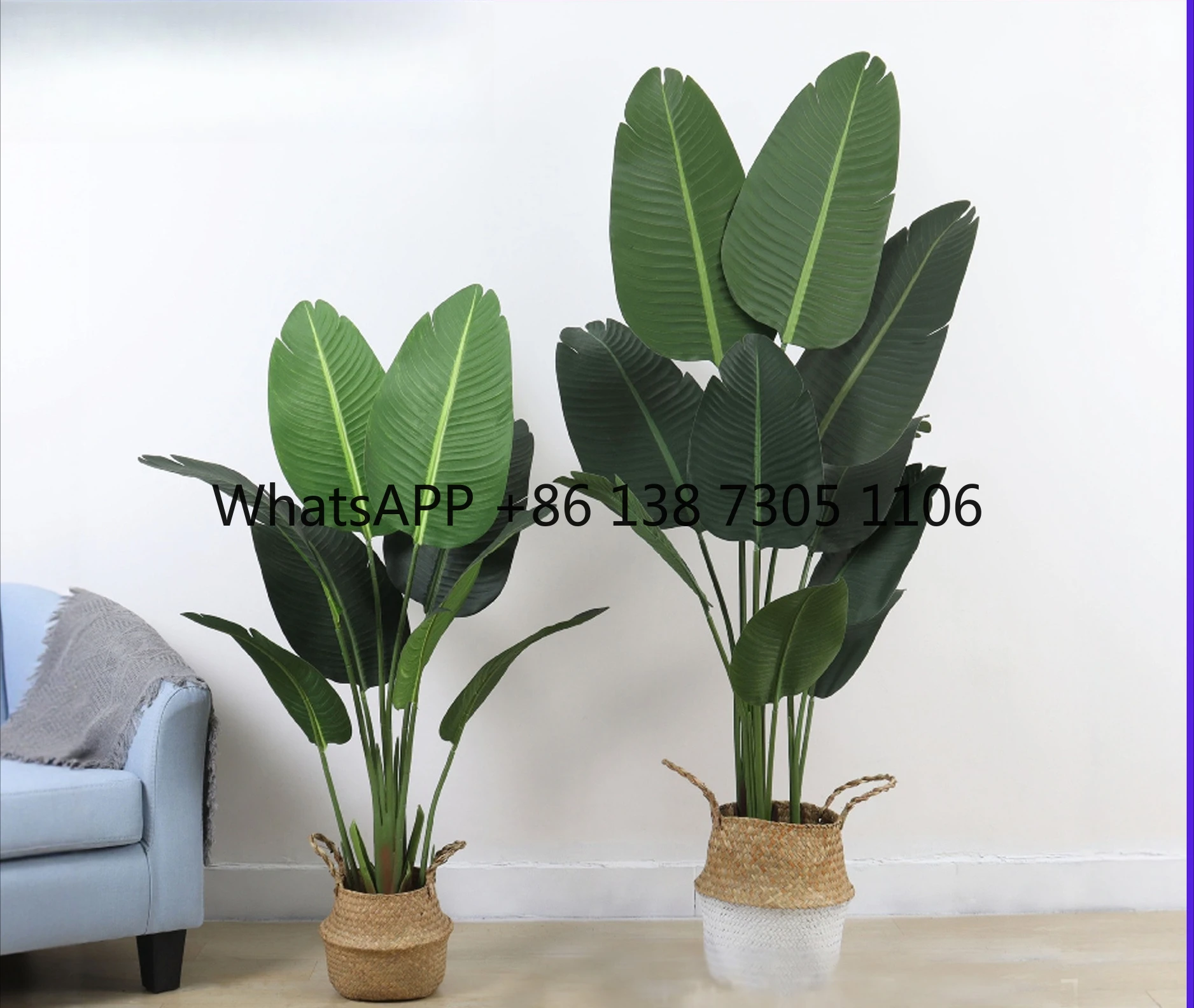 Large Scandinavian SimulationPlant Floor Traveler Banana Bonsai Interior Decoration False Bonsai OfficeGreen Plant Ornament Tree
Large Scandinavian SimulationPlant Floor Traveler Banana Bonsai Interior Decoration False Bonsai OfficeGreen Plant Ornament Tree