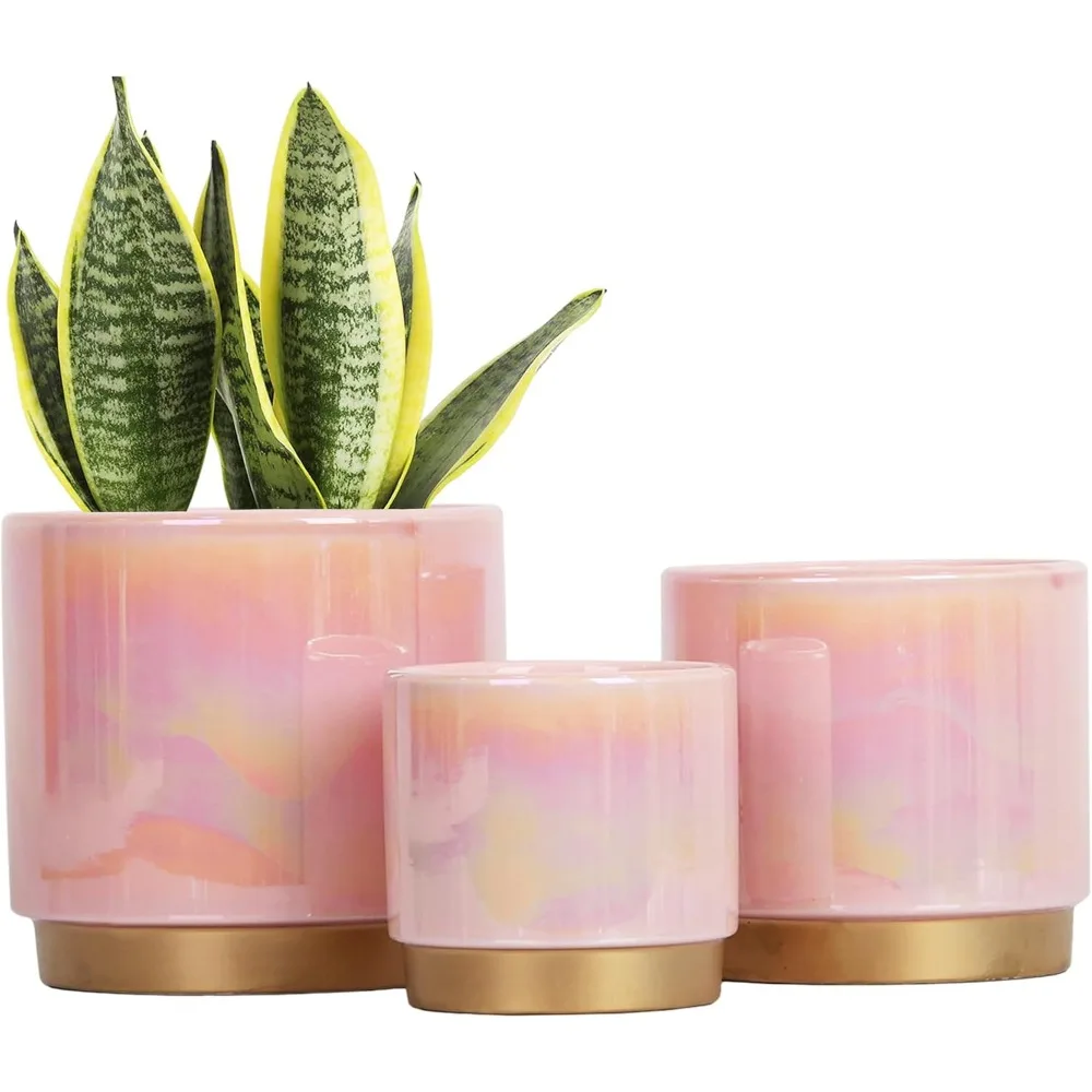 Pink Ceramic Plant Pots with Drainage Hole, 6.0+5.0+4.0 Inch Set for Succulents and Orchids - Rainbow Pearl Glaze
Pink Ceramic Plant Pots with Drainage Hole, 6.0+5.0+4.0 Inch Set for Succulents and Orchids - Rainbow Pearl Glaze