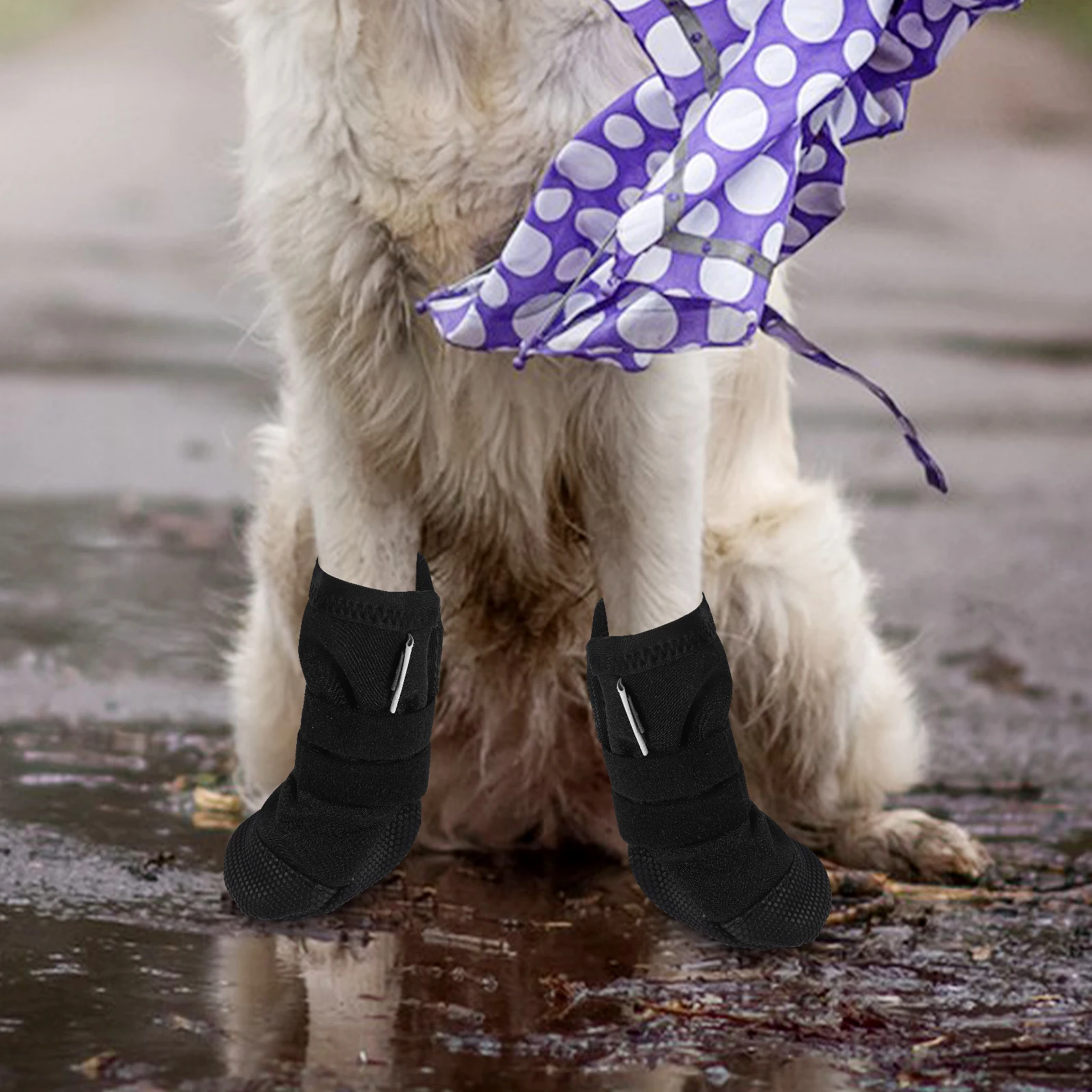 Pet Foot Cover Boots for Dogs Paw Injury Anti-slip Wearable Shoes Black Booties Protector Injured Breathable Waterproof
Pet Foot Cover Boots for Dogs Paw Injury Anti-slip Wearable Shoes Black Booties Protector Injured Breathable Waterproof