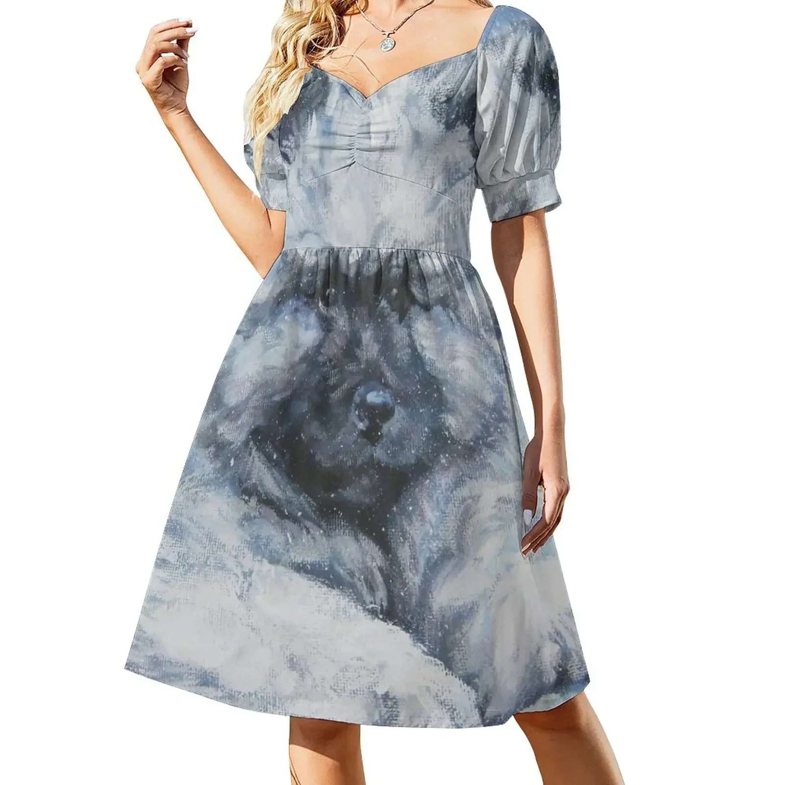 Keeshond Fine Art Painting Short-Sleeved Dress summer dresses ladies 2025 womens dress
Keeshond Fine Art Painting Short-Sleeved Dress summer dresses ladies 2025 womens dress